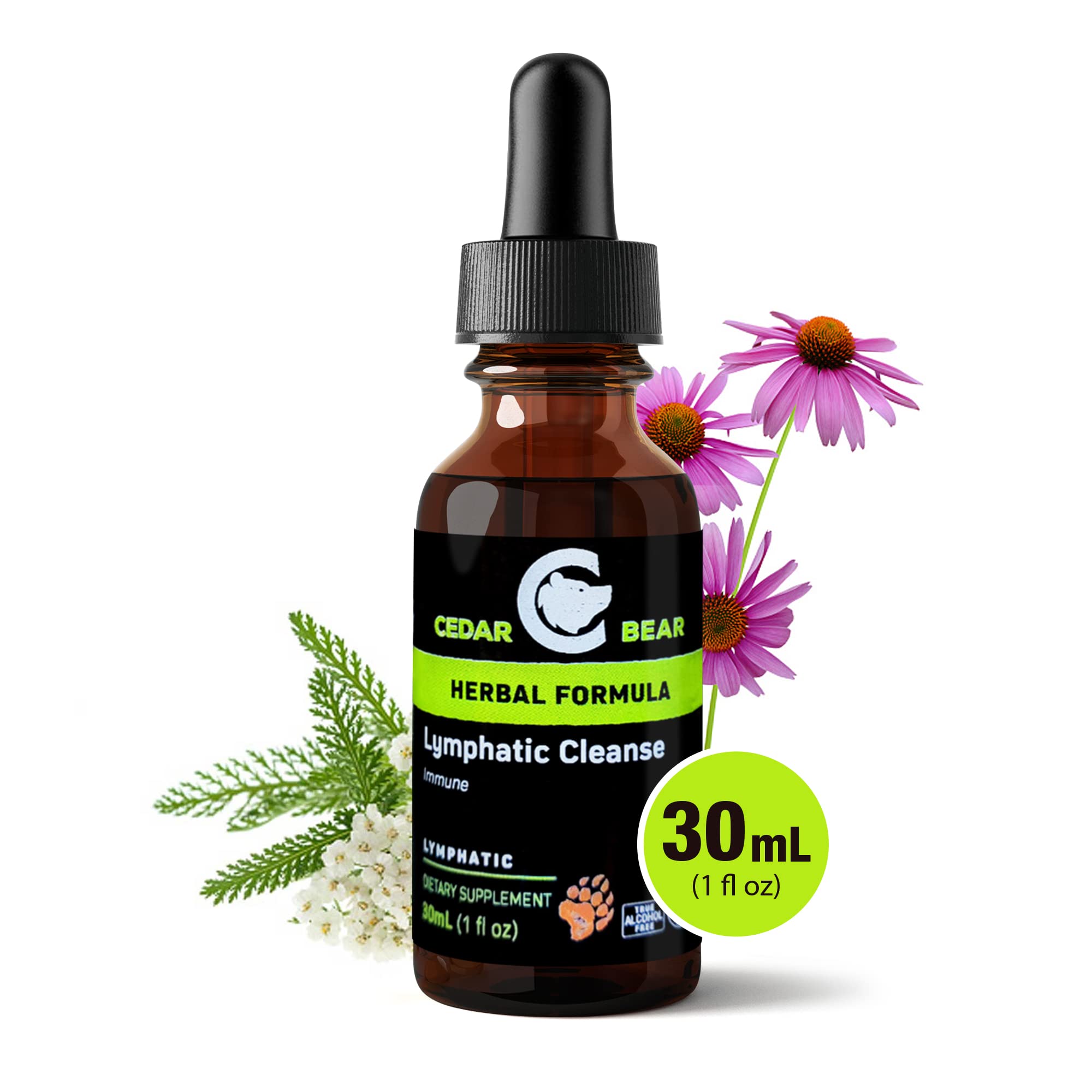 Foto 6 pulgar | Suplemento Cedar Bear Lymphatic Cleanse Apoyo Inmunológico 30 Ml - Venta Internacional