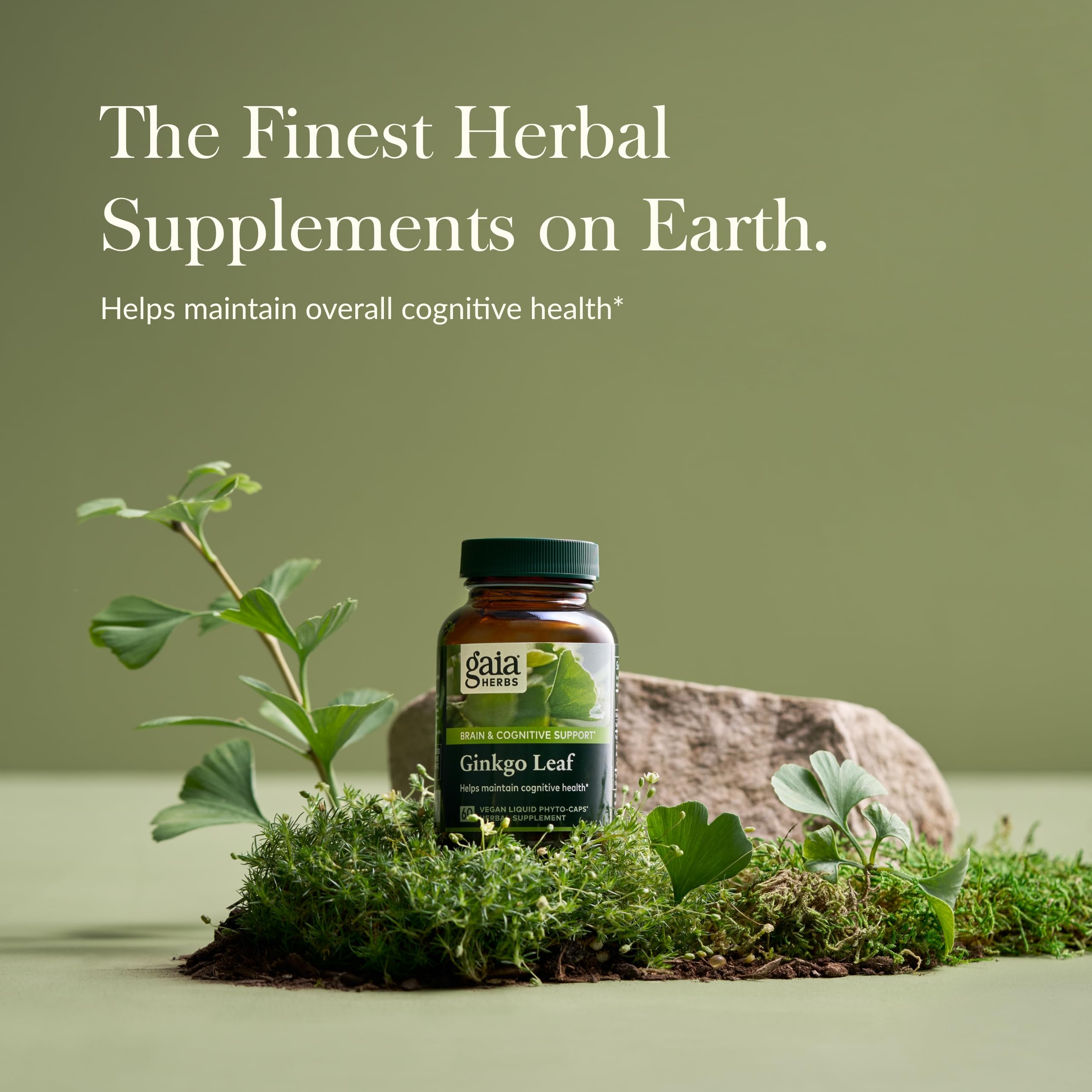 Foto 4 pulgar | Suplemento Gaia Herbs Ginkgo Leaf 60 Cápsulas Veganas - Venta Internacional.