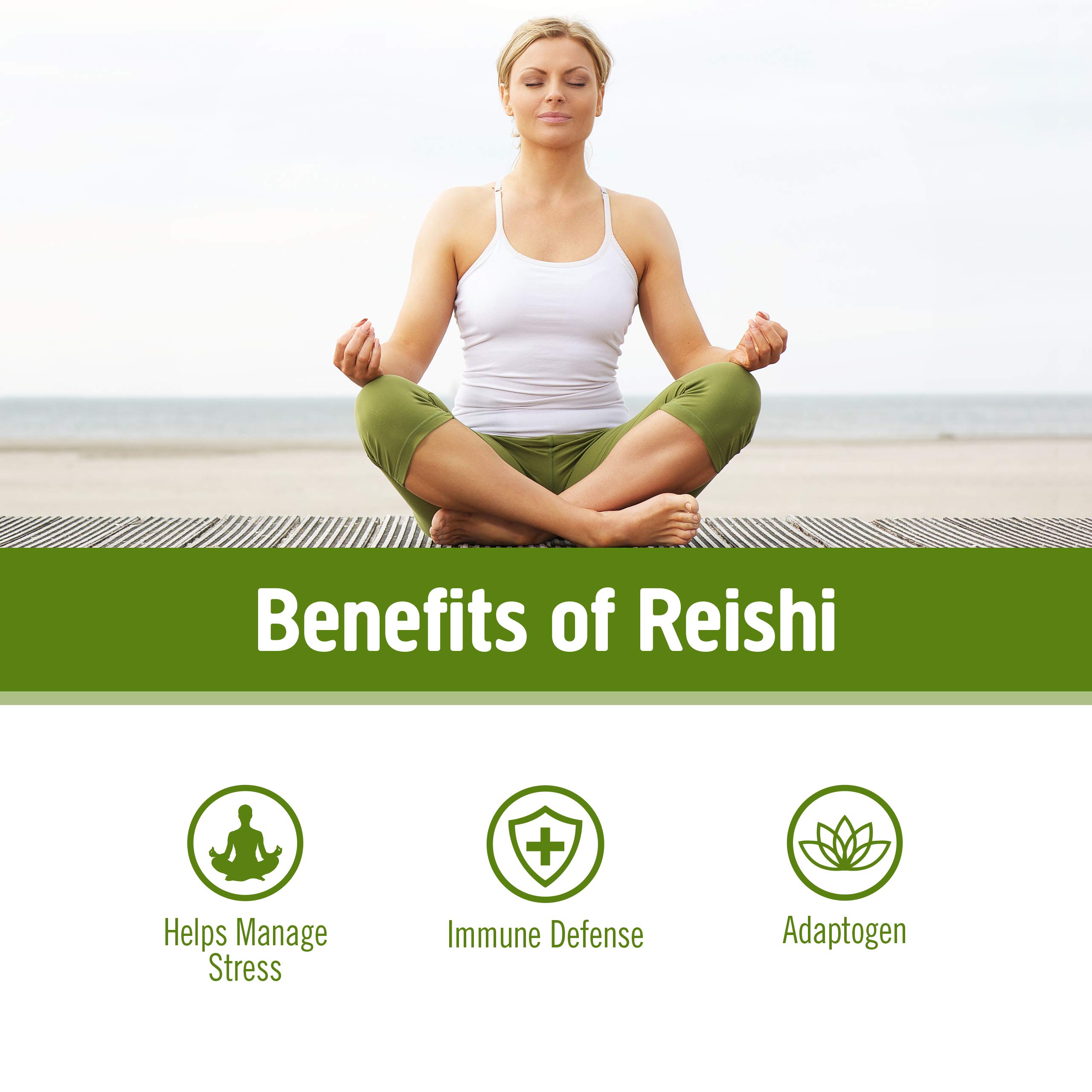 Foto 4 pulgar | Suplemento Om Mushroom Superfood Reishi En Polvo, 100 G - Venta Internacional.