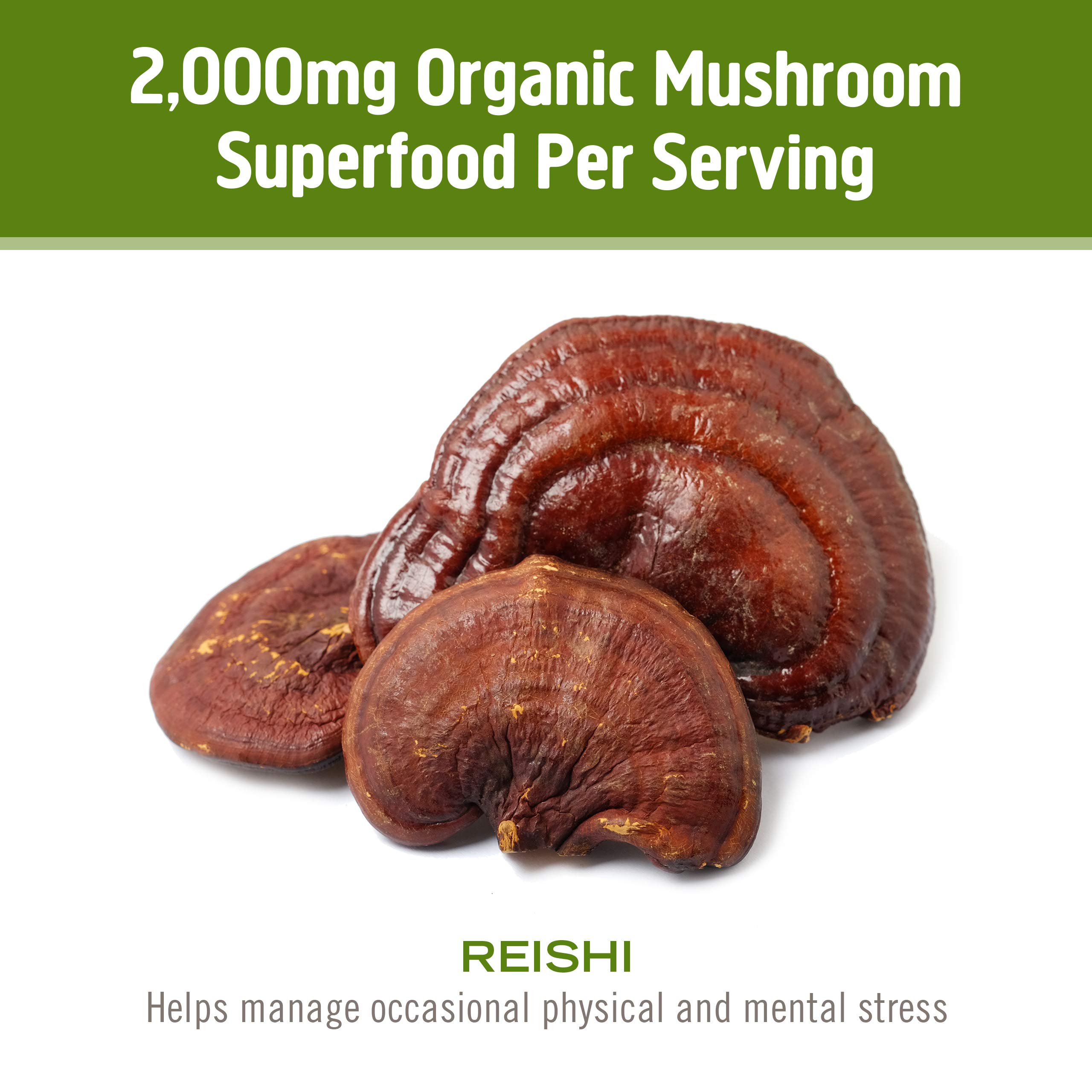 Foto 7 pulgar | Suplemento Om Mushroom Superfood Reishi En Polvo, 100 G - Venta Internacional.
