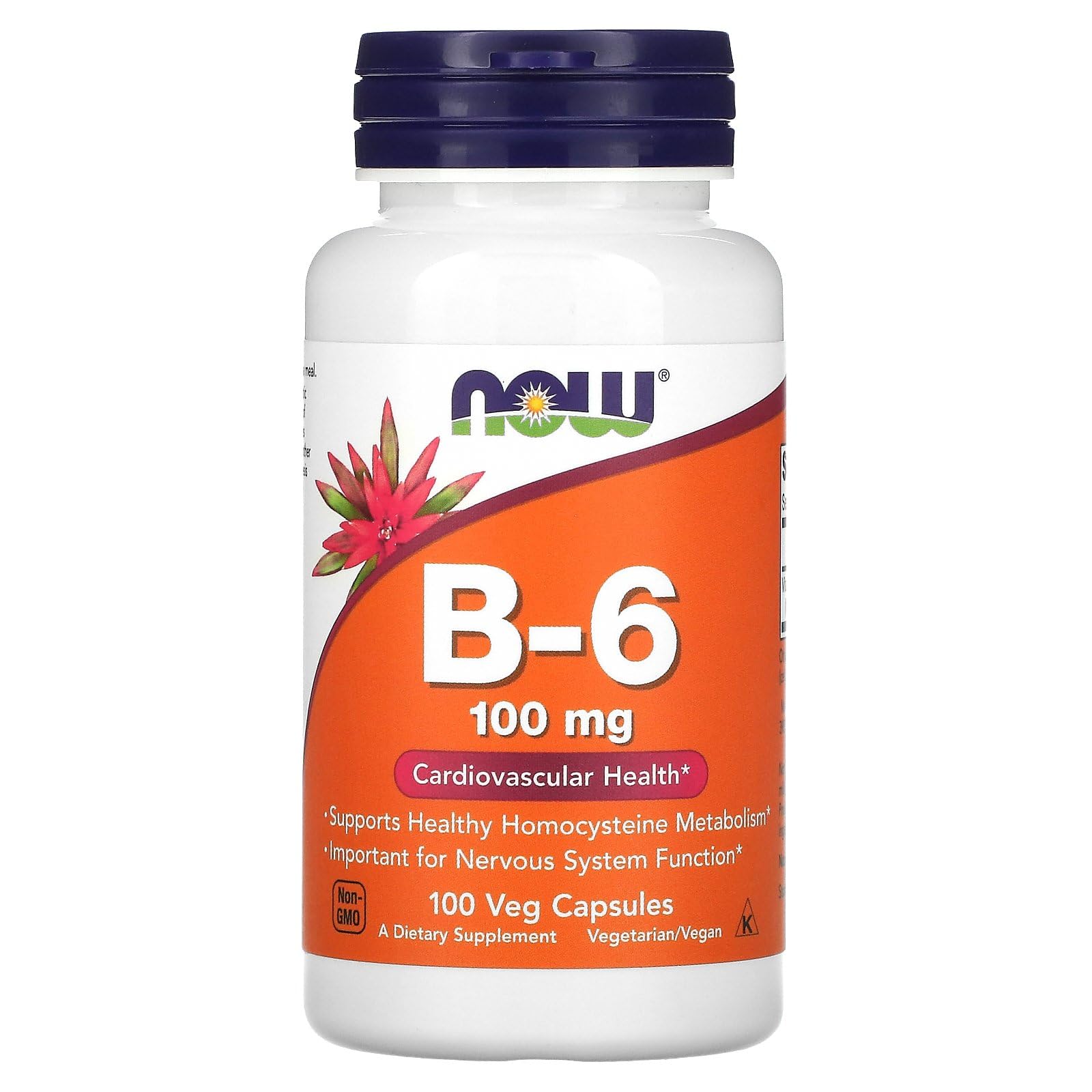 Foto 2 pulgar | Suplemento Now Foods B-6 100 Mg 100 Cápsulas - Venta Internacional.