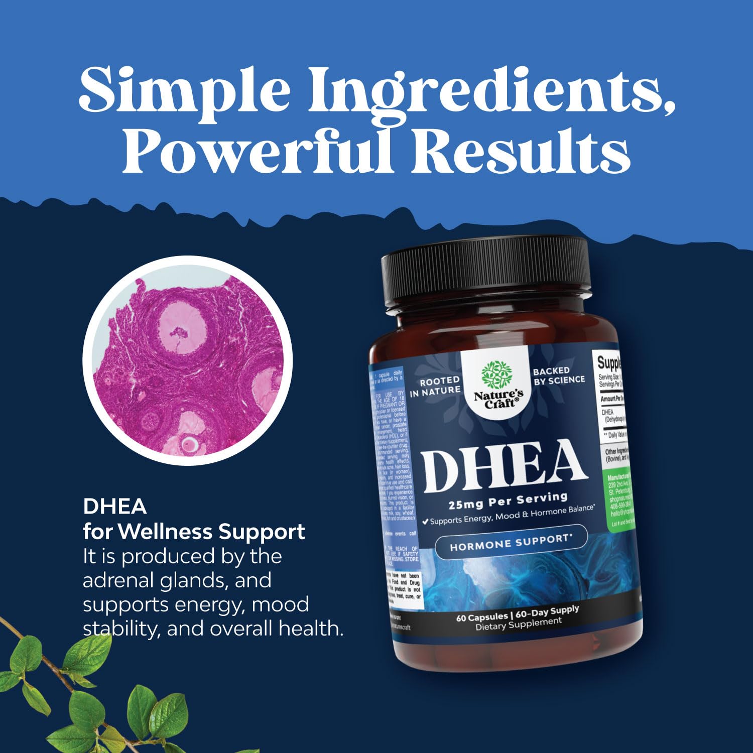 Foto 5 pulgar | Supplement Natures Craft Dhea, Cápsulas De 25 Mg, Suministro Para 2 Meses - Venta Internacional.