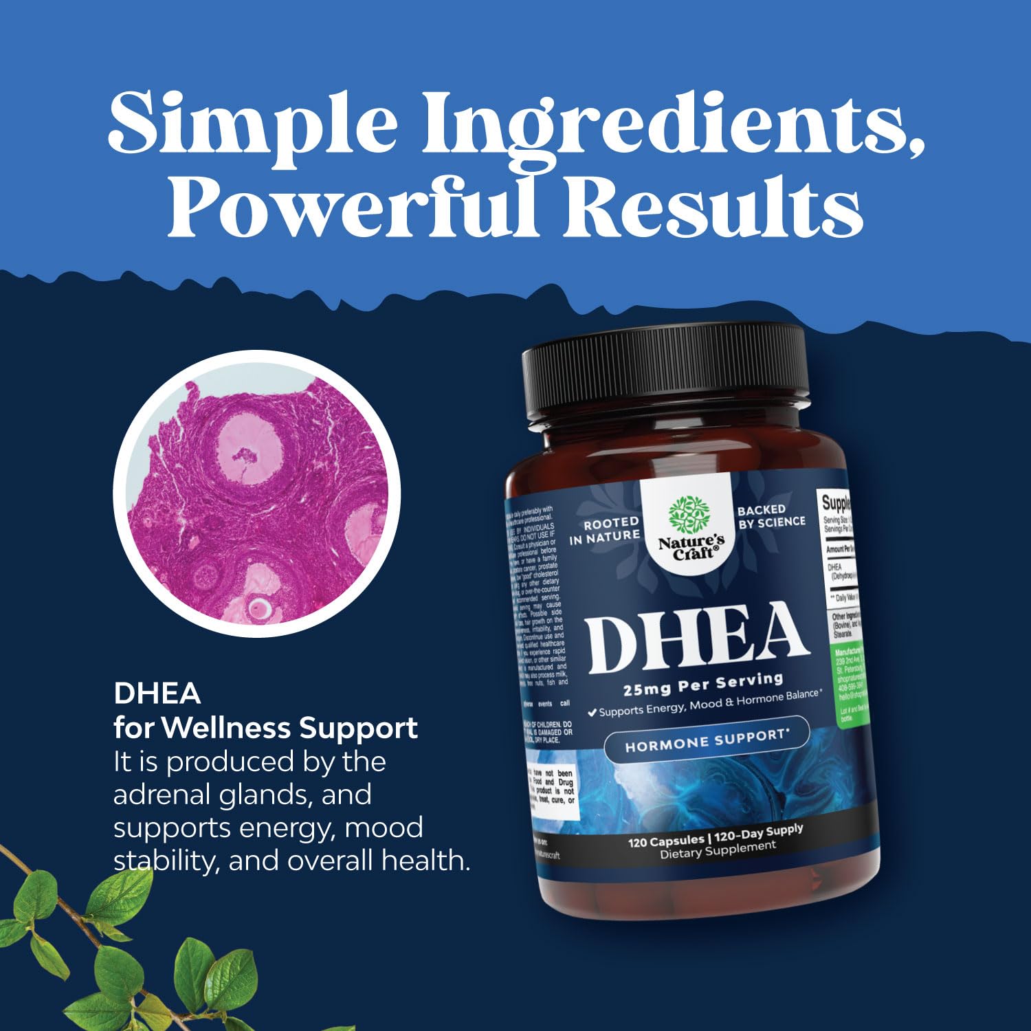 Foto 5 pulgar | Supplement Natures Craft Dhea, Cápsula De 25 Mg Para Mujeres Y Hombres - Venta Internacional.