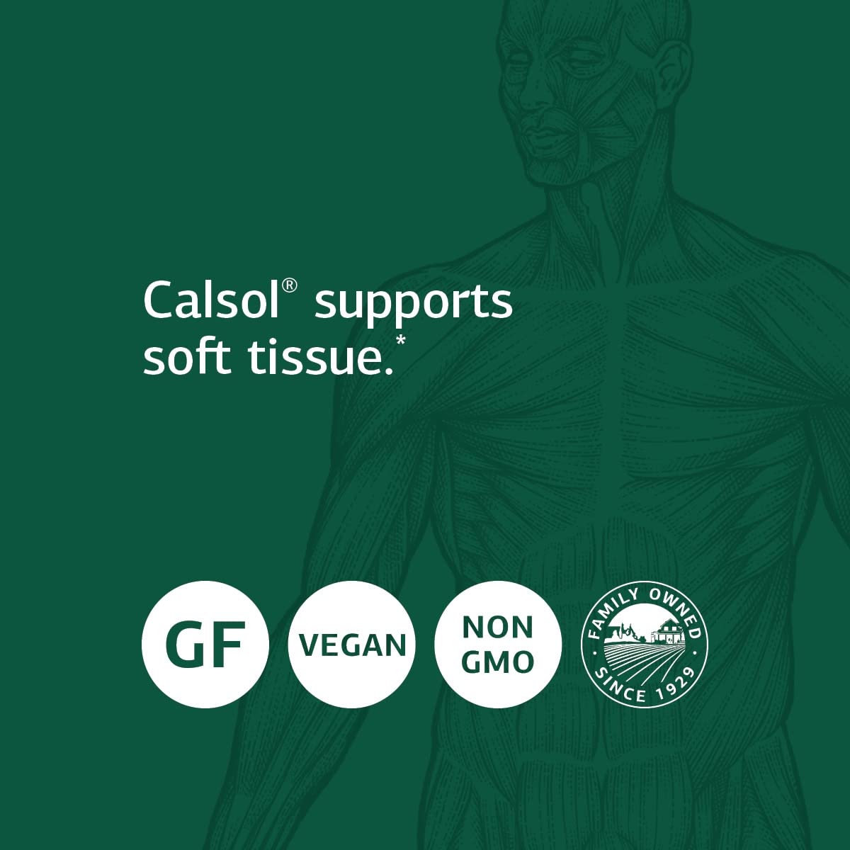 Foto 5 pulgar | Suplemento Standard Process Calsol 90 Comprimidos - Venta Internacional.