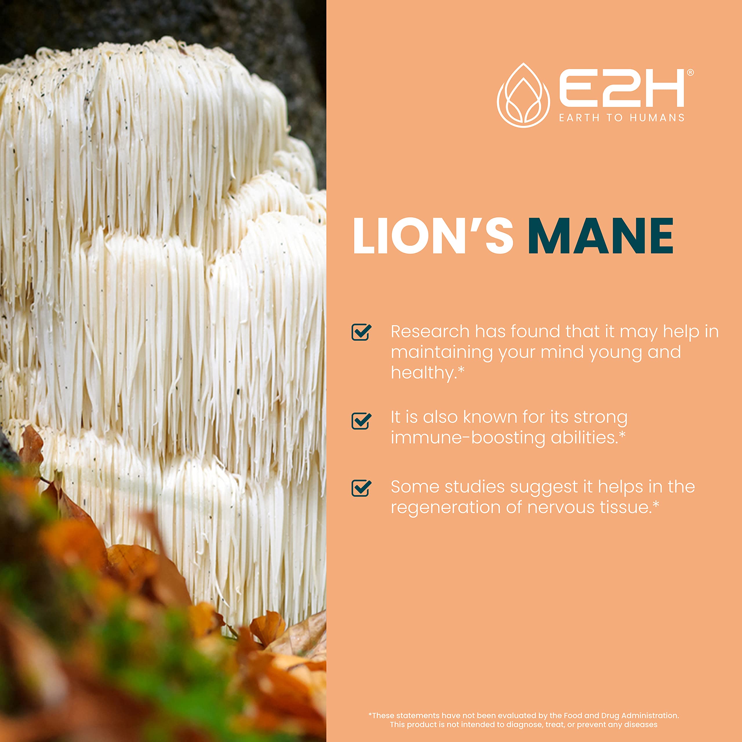 Foto 4 pulgar | Suplemento Líquido E2h Earth To Humans Lions Mane, 60 Ml - Venta Internacional.