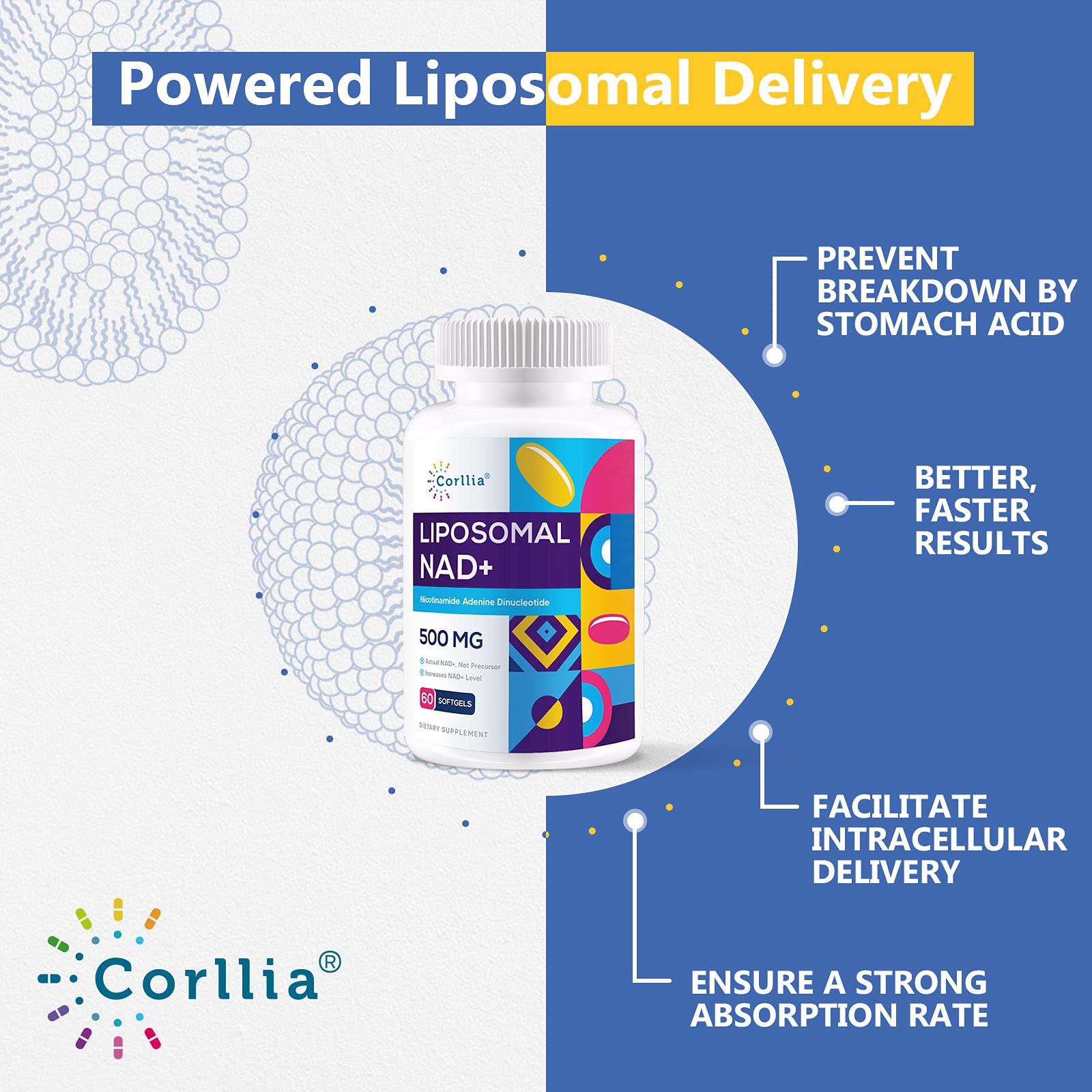 Foto 4 pulgar | Suplemento Corllia Liposomal Nad+ 500 Mg Con Tmg 250 Mg 180 Serv - Venta Internacional.
