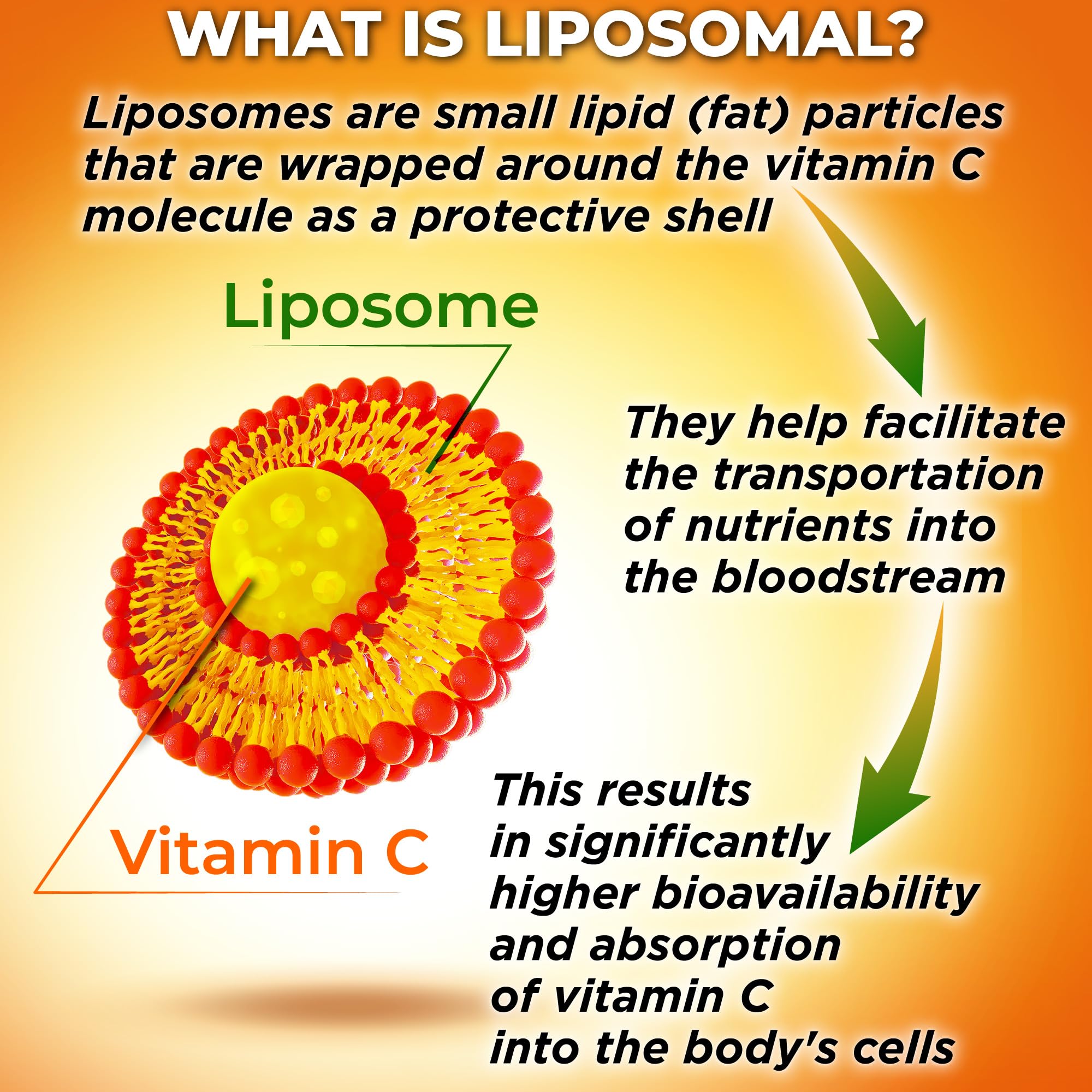 Foto 3 | Cápsulas Liposomales De Vitamina C Supplements Studio, 1500 Mg - Venta Internacional.