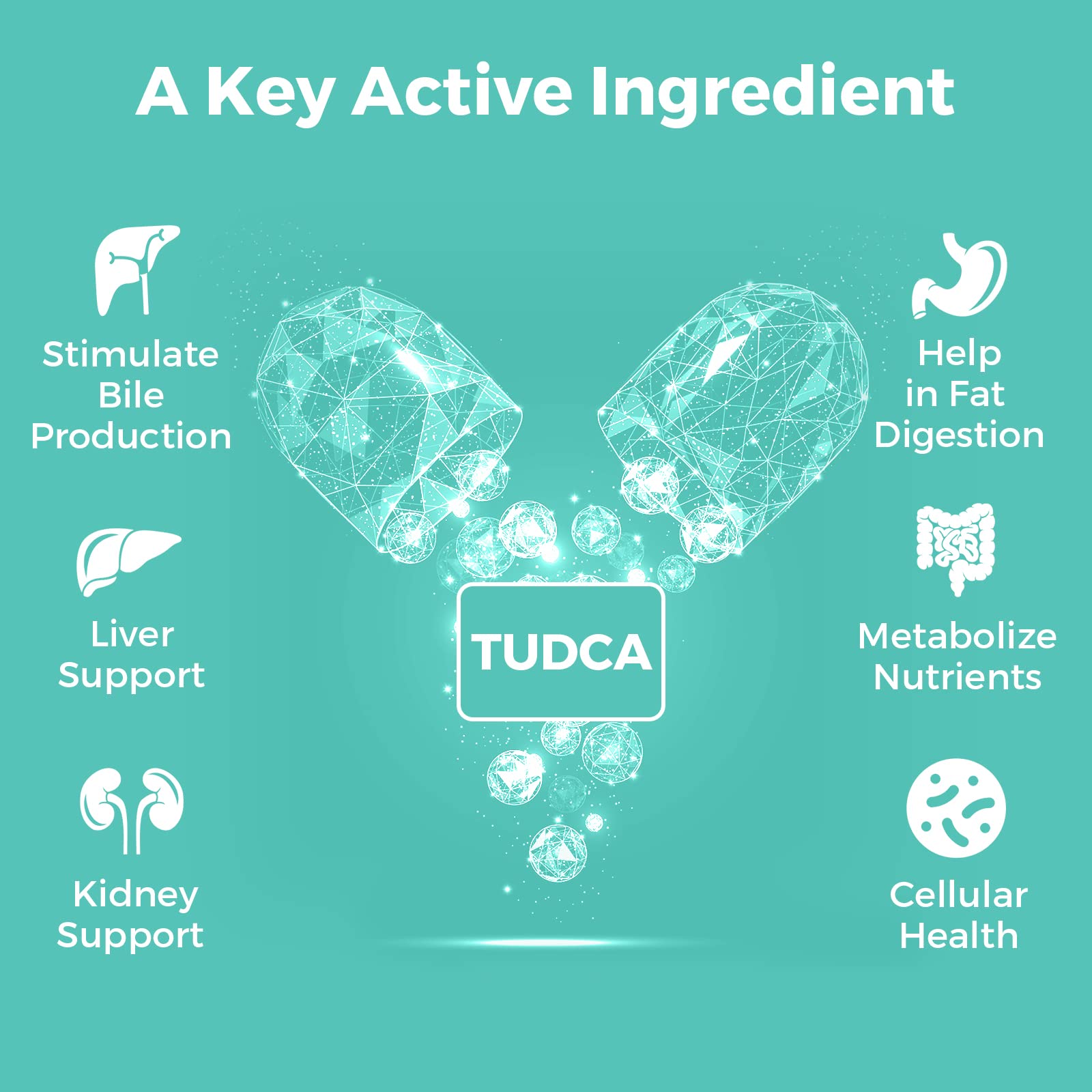Foto 5 pulgar | Suplemento De Sales Biliares Tudca De Kayseari, 1000 Mg, 60 Cápsulas Vegetarianas - Venta Internacional.