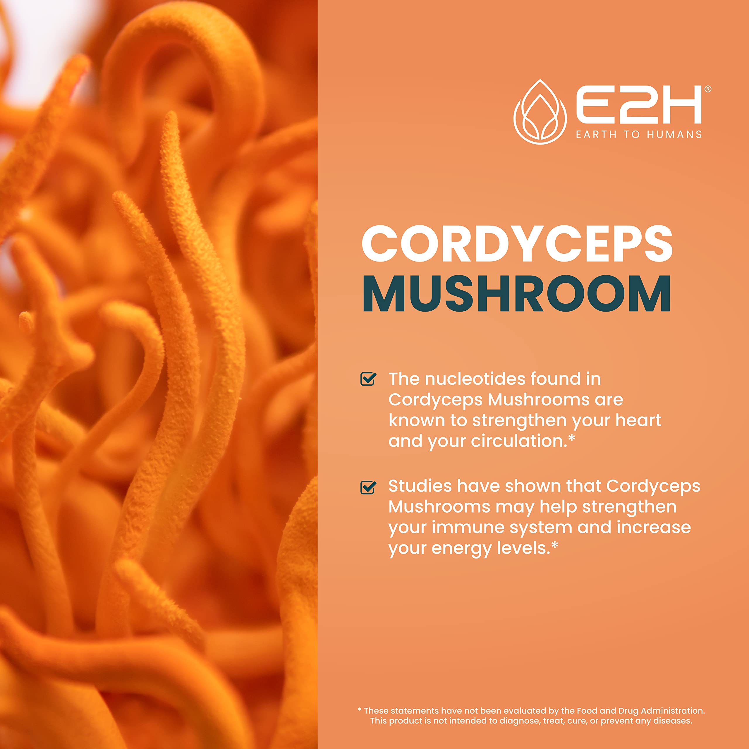 Foto 4 pulgar | Suplemento E2h: Extracto De Hongo Cordyceps, Apoyo Inmunológico - Venta Internacional.