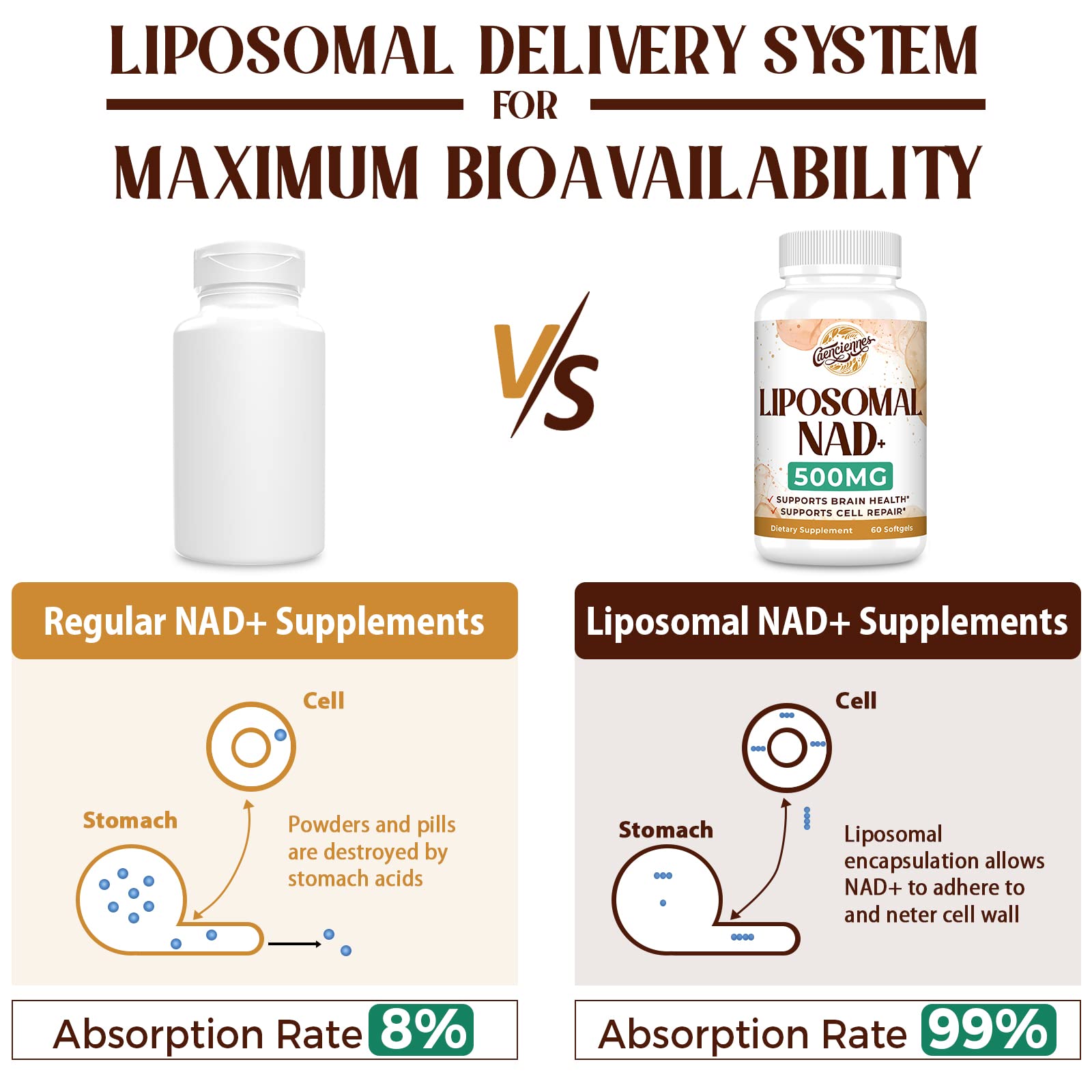 Foto 4 pulgar | Suplemento Caenciennes Liposomal Nad+ 500 Mg 360 Porciones - Venta Internacional