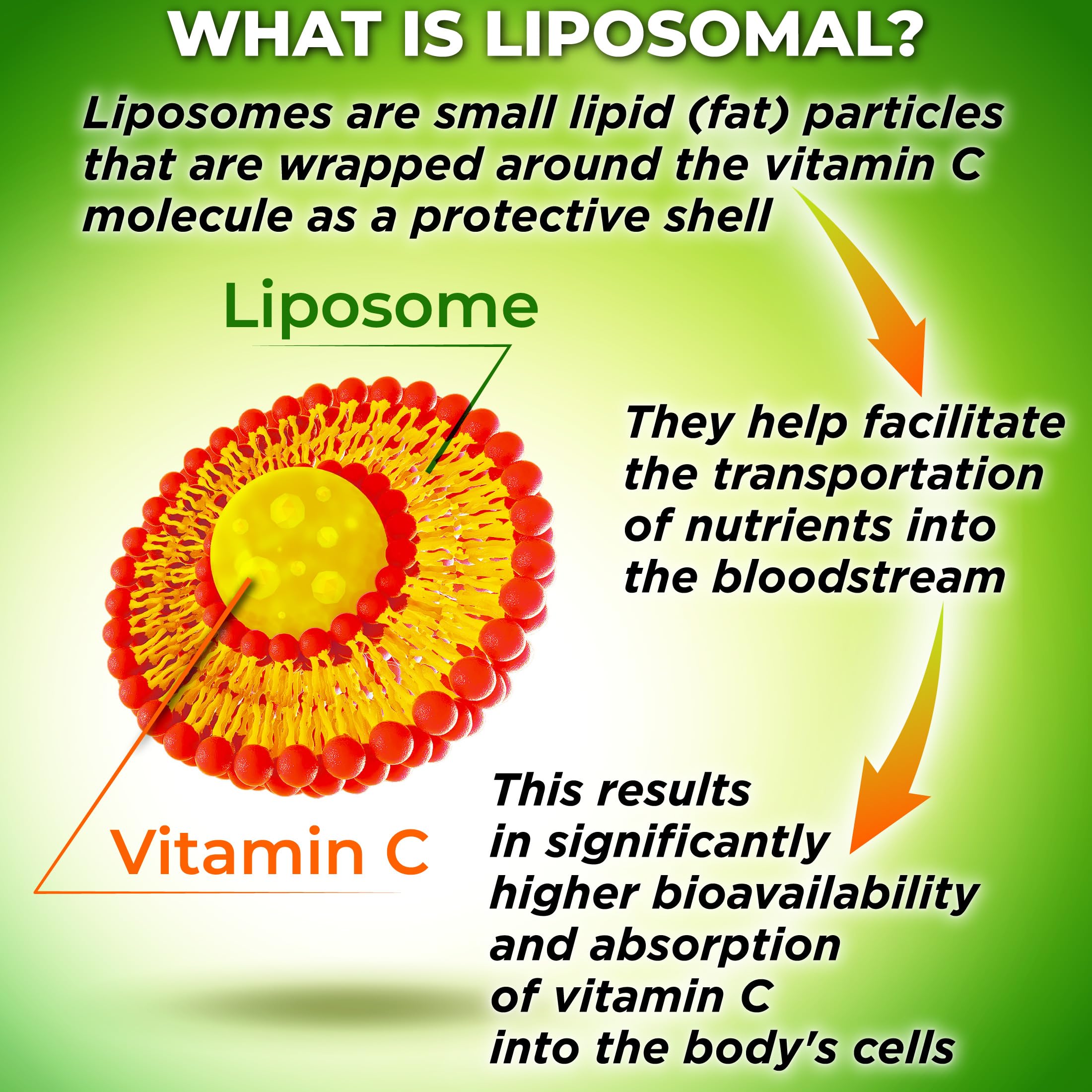 Foto 7 | Cápsulas De Gel Líquido Con Vitamina C Liposomal Supplements Studio - Venta Internacional.