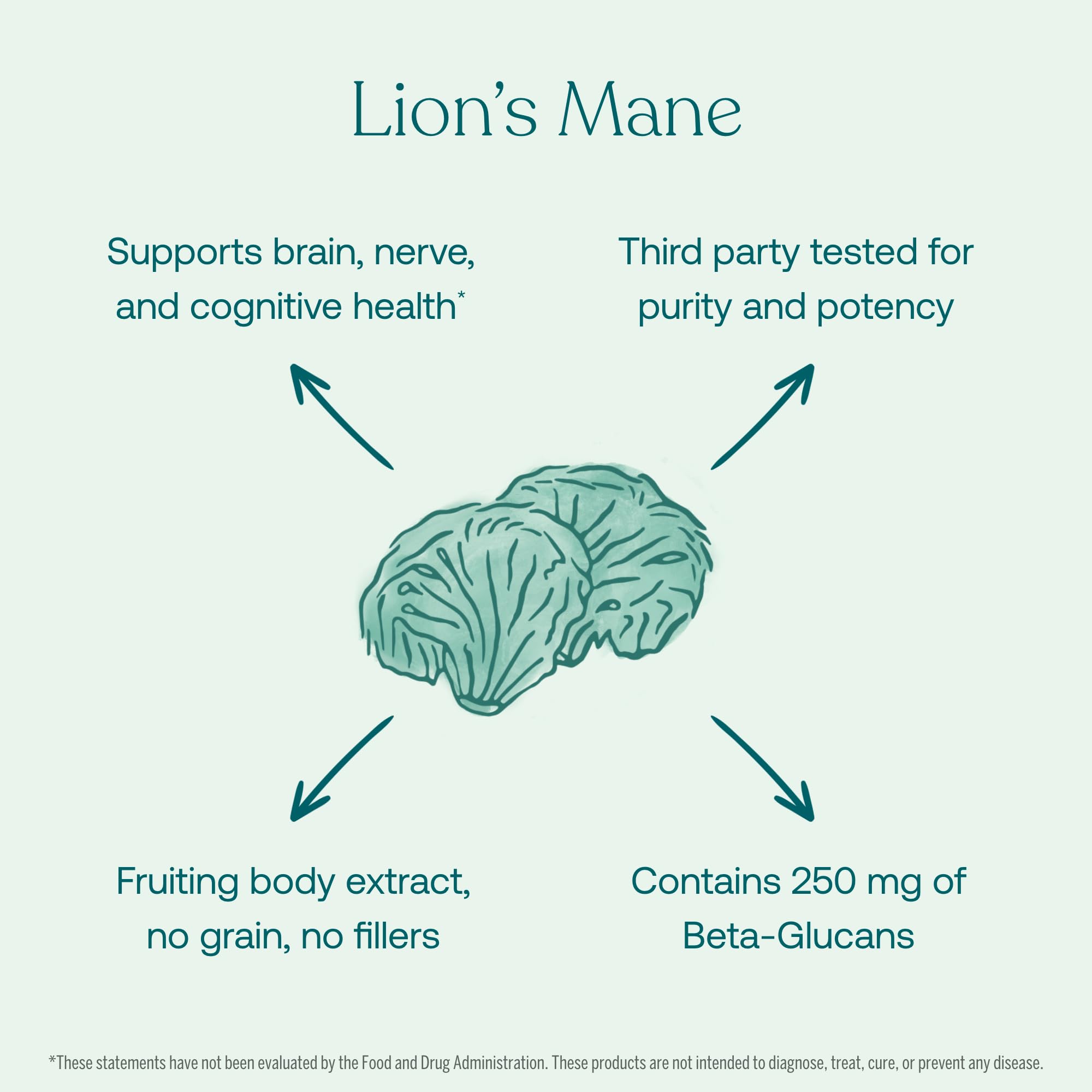 Foto 5 pulgar | Suplemento True Grace Mushroom Lion's Mane Brain Brain Support 60 Cápsulas - Venta Internacional.