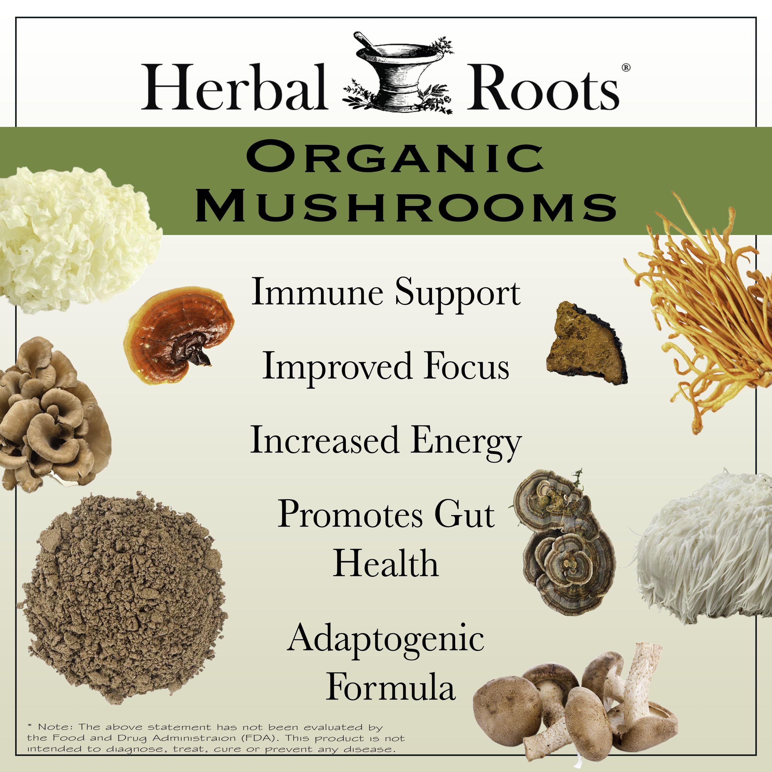 Foto 3 | Cápsulas De Suplemento Herbal Roots Mushroom Blend 8 Organic - Venta Internacional.