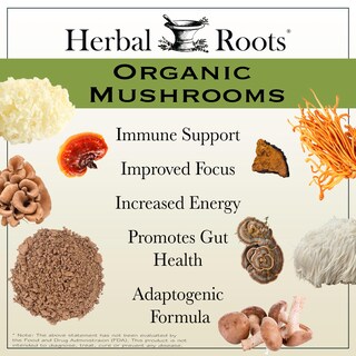 Foto 3 | Cápsulas De Suplemento Herbal Roots Mushroom Blend 8 Organic - Venta Internacional.