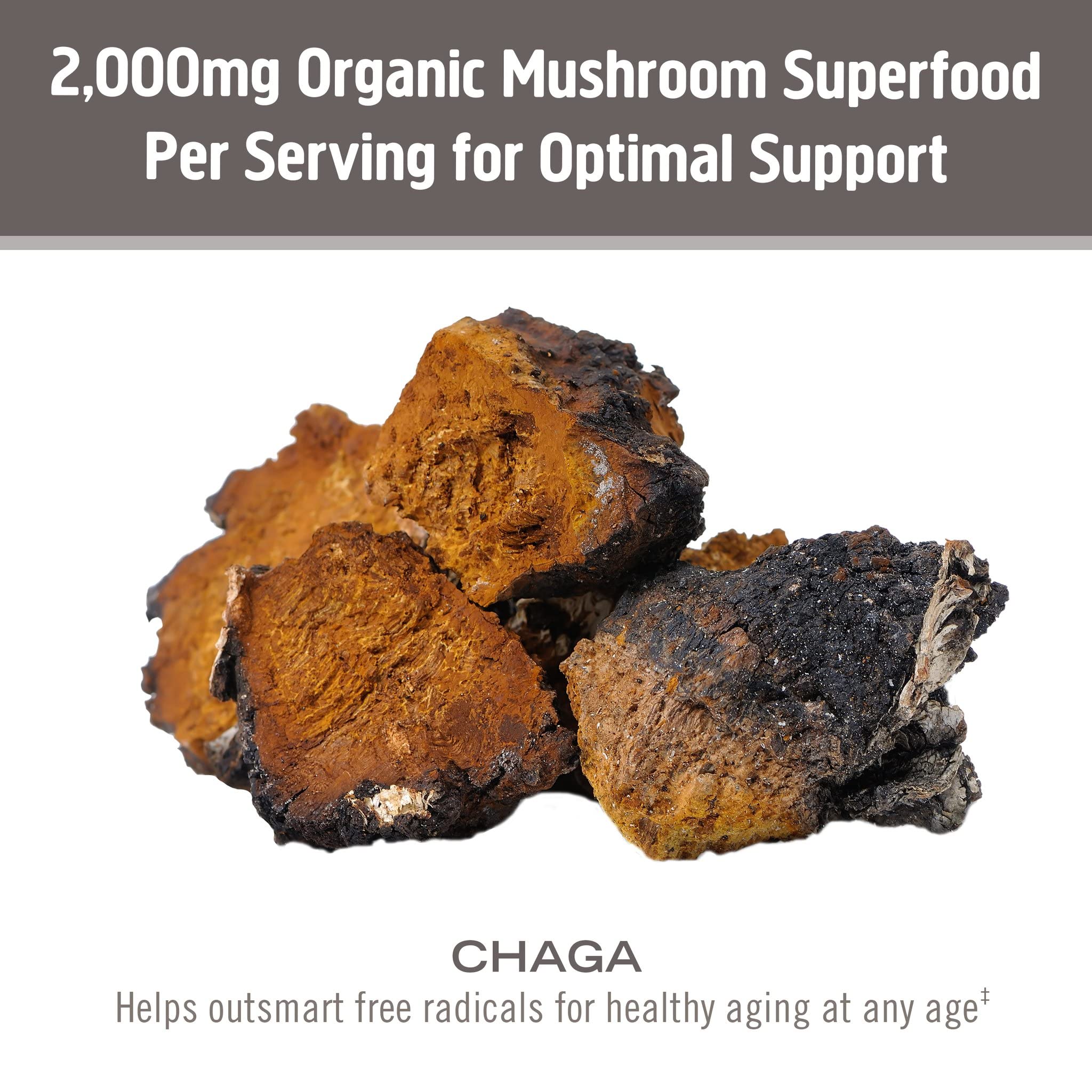 Foto 7 pulgar | Suplemento De Hongos Om Mushroom Superfood Chaga 200 G - Venta Internacional.
