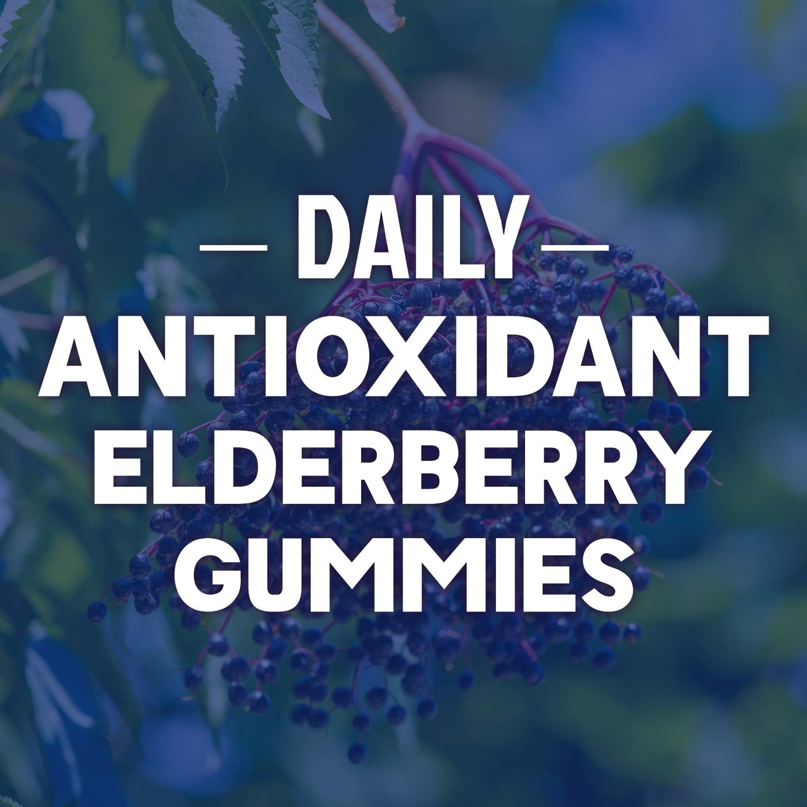 Foto 7 pulgar | Suplemento Sambucus 60 Gomitas Nature's Nutrition Sistema Inmunitario - Venta Internacional