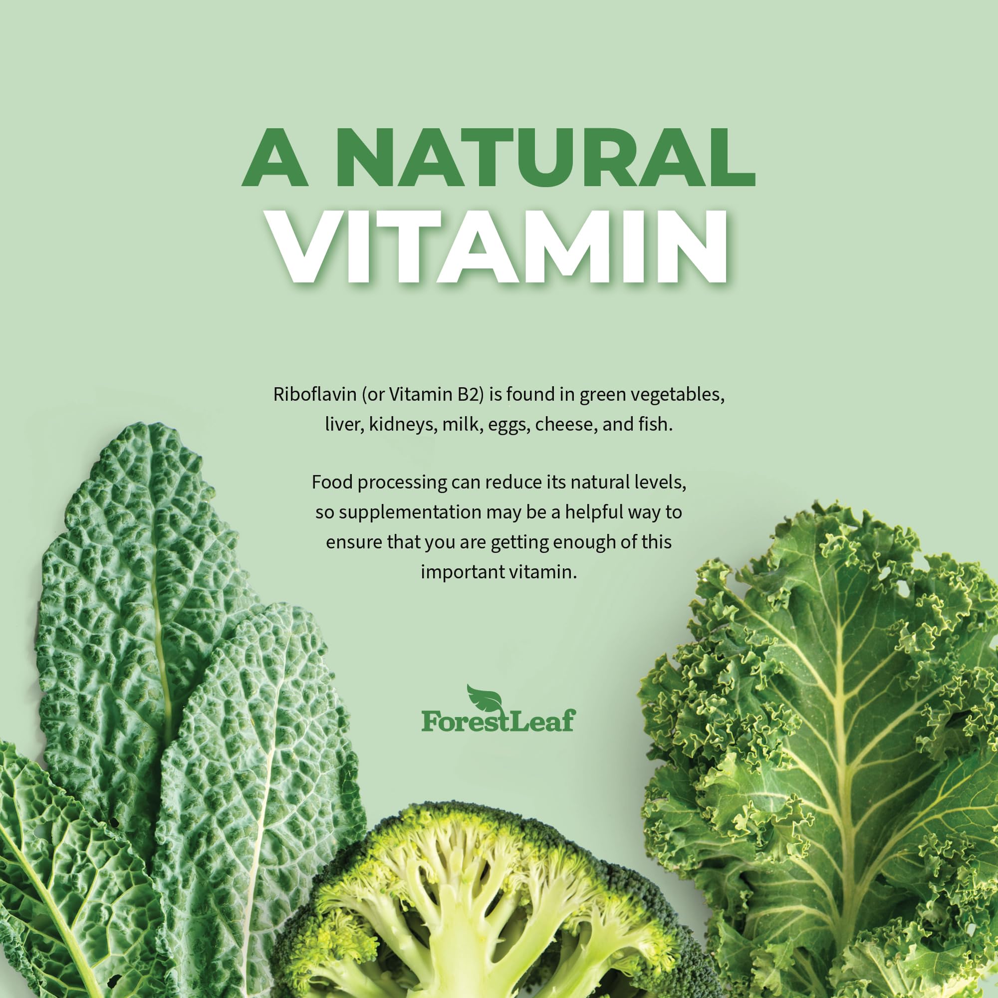 Foto 5 pulgar | Suplemento Forestleaf De Vitamina B2 Y Riboflavina, 400 Mg, 90 Cápsulas - Venta Internacional.