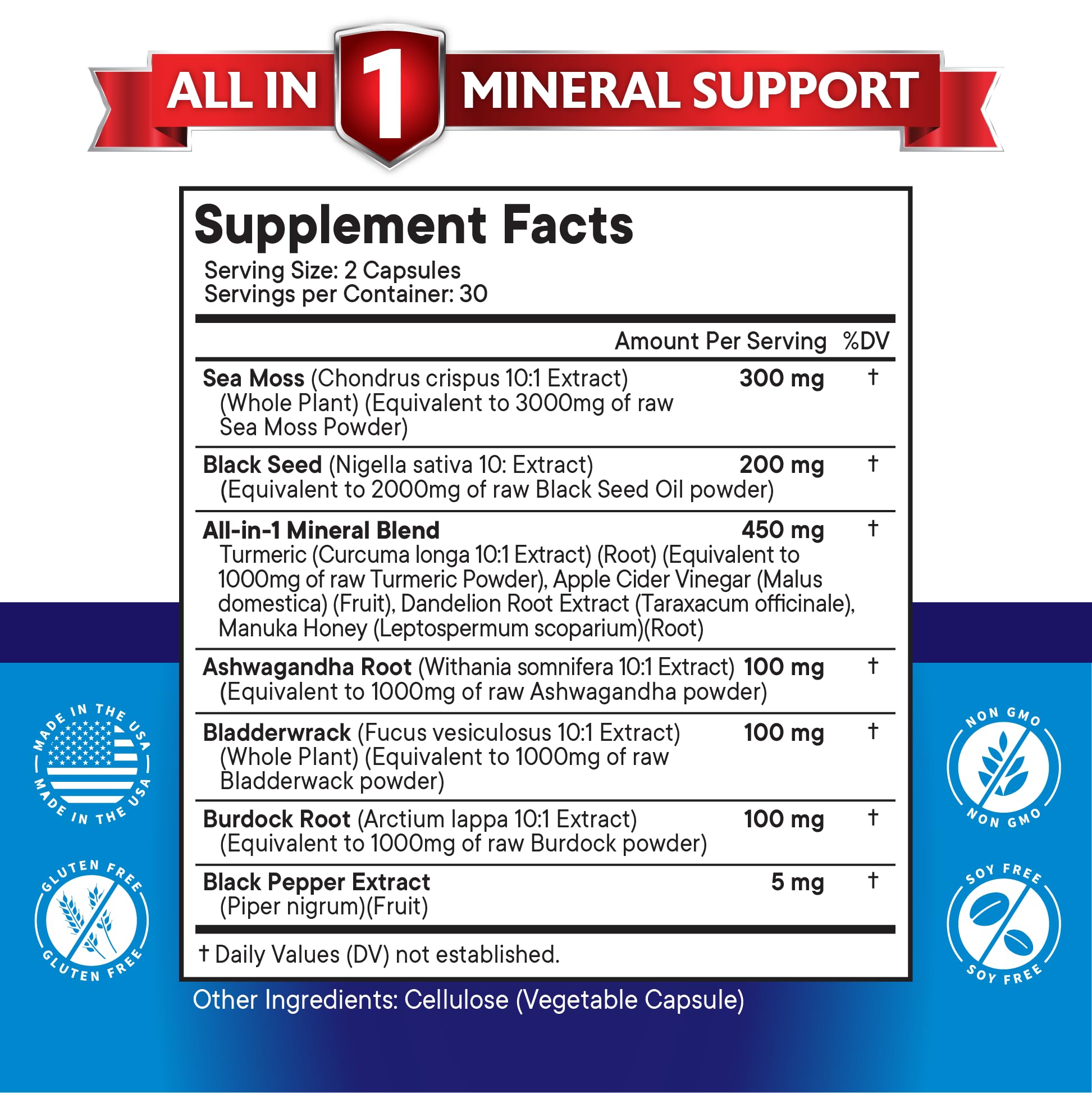 Foto 3 pulgar | Suplemento New Age Silica Sea Moss 3000 Mg Con Aceite De Semilla Negra - Venta Internacional.