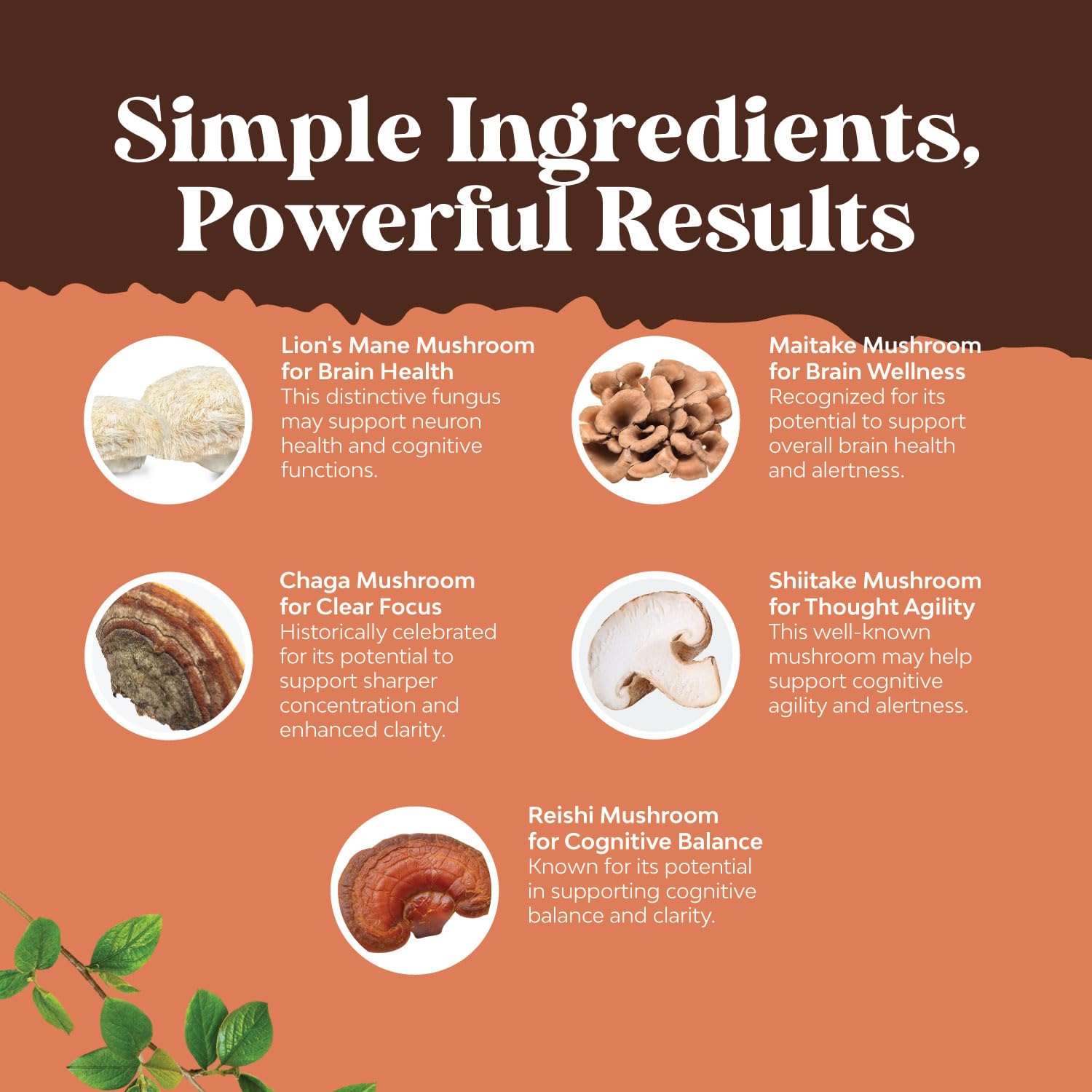 Foto 5 pulgar | Complemento Natures Craft Advanced Mushroom Complex 30 Cápsulas - Venta Internacional