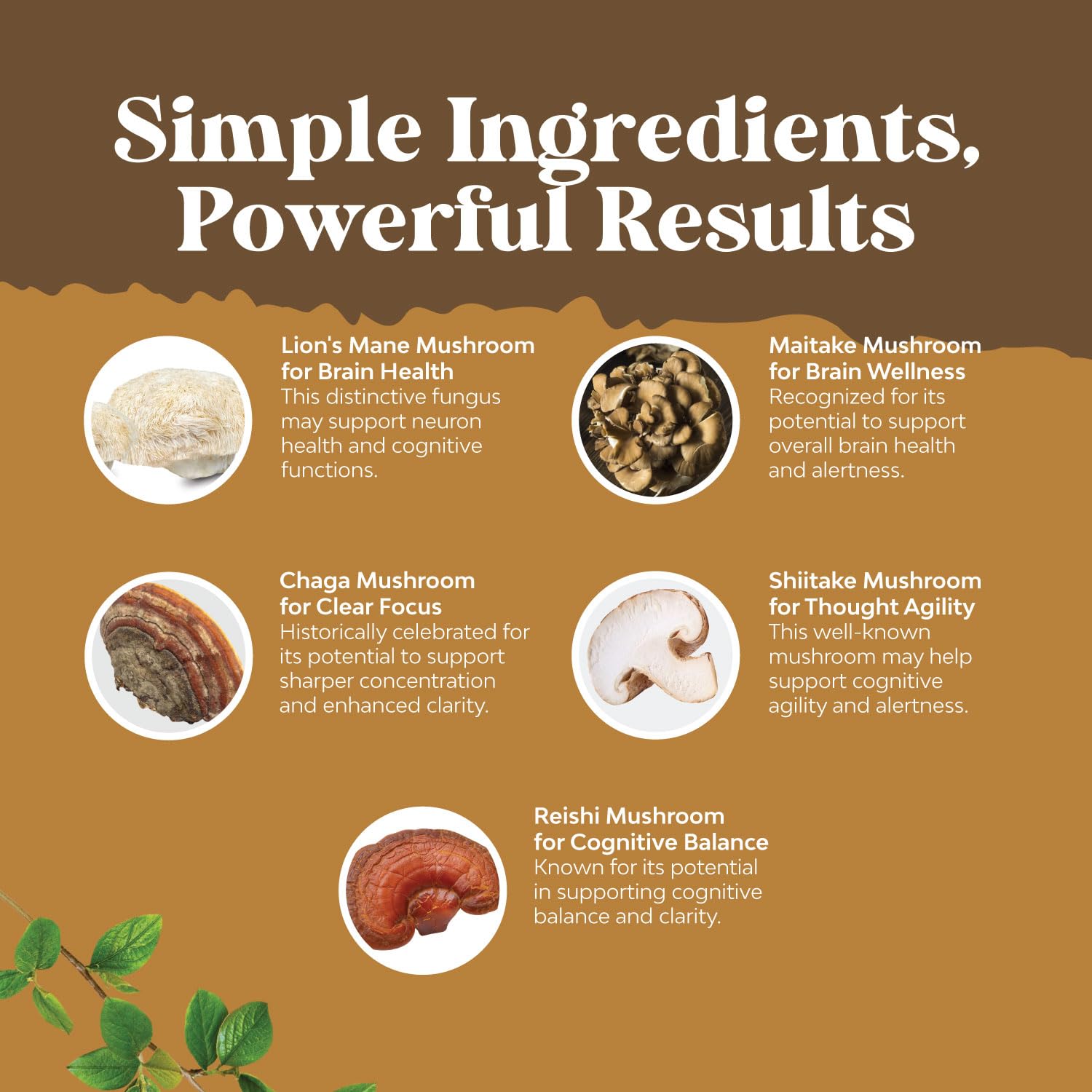 Foto 5 pulgar | Suplemento Natures Craft Advanced Lion's Mane con Reishi 30 Cápsulas - Venta Internacional
