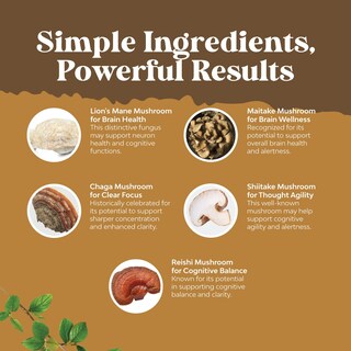 Foto 4 | Suplemento Natures Craft Advanced Lion's Mane con Reishi 30 Cápsulas - Venta Internacional