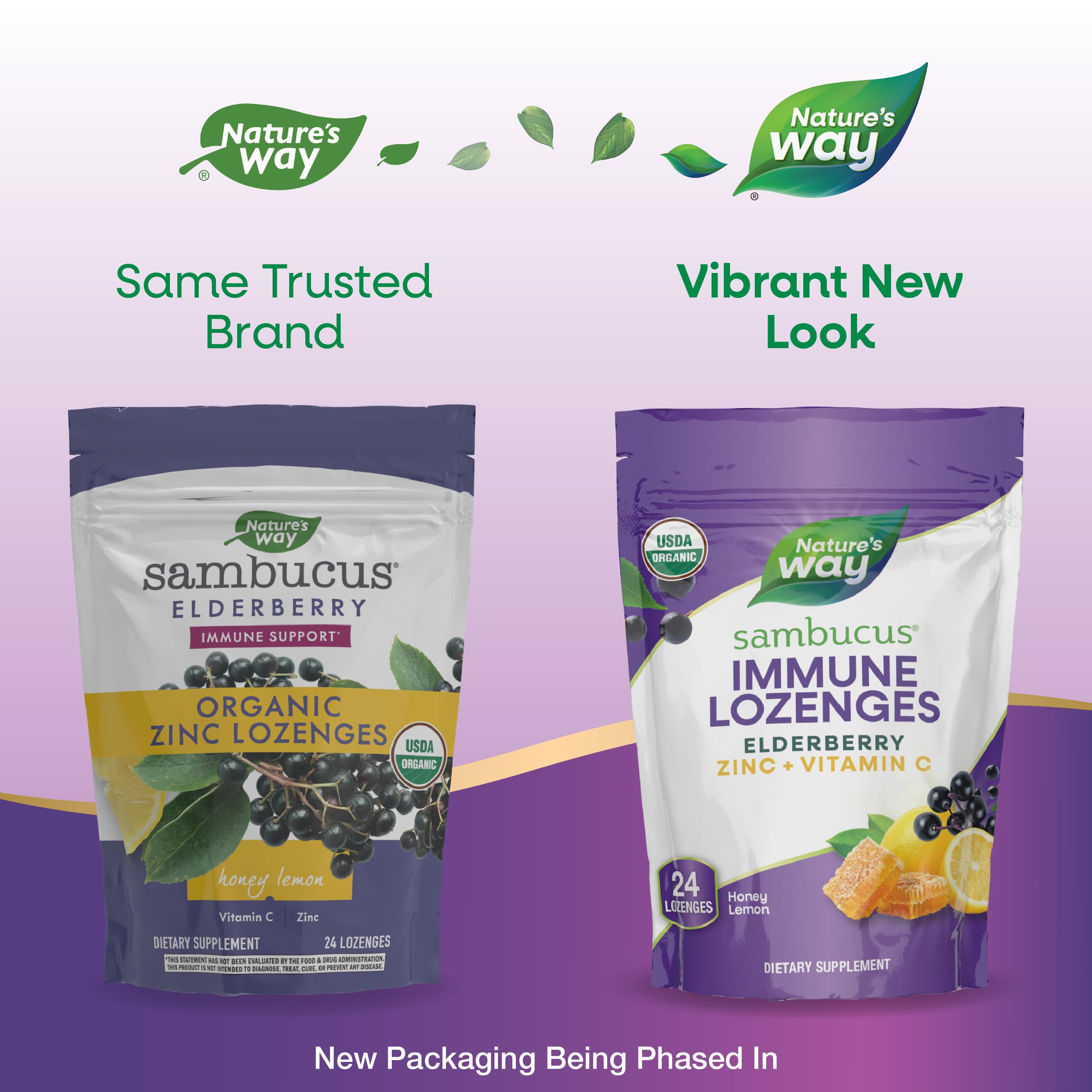 Foto 4 pulgar | Pastillas Nature's Way Sambucus Immune Con Zinc Y Vitamina C 24 - Venta Internacional