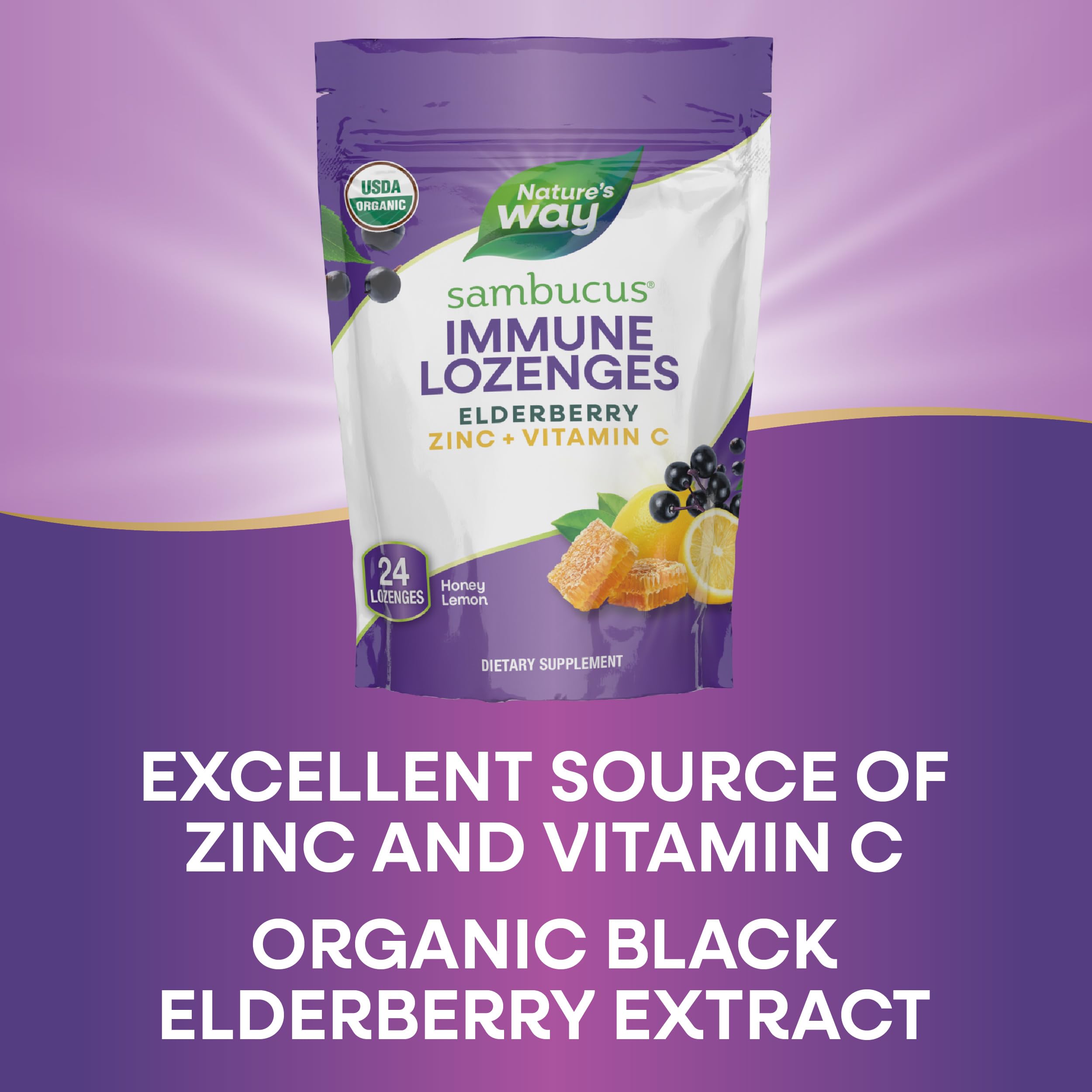 Foto 5 | Pastillas Nature's Way Sambucus Immune Con Zinc Y Vitamina C 24 - Venta Internacional