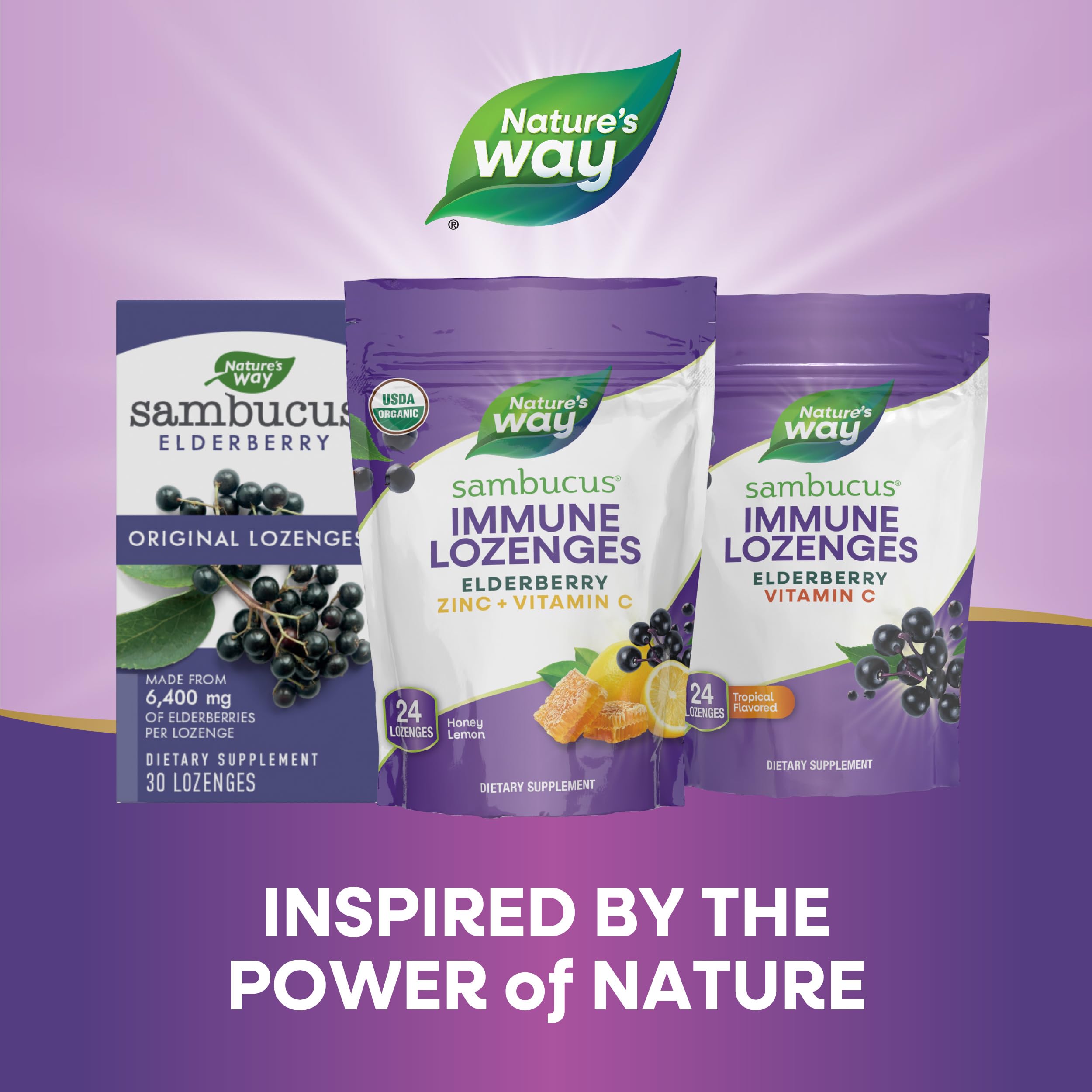 Foto 8 pulgar | Pastillas Nature's Way Sambucus Immune Con Zinc Y Vitamina C 24 - Venta Internacional