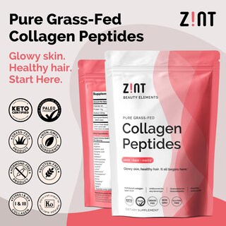 Foto 2 | Péptidos De Colágeno En Polvo Zint Paleo Keto 283 g- Venta Internacional.