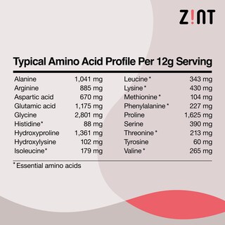Foto 6 | Péptidos De Colágeno En Polvo Zint Paleo Keto 283 g- Venta Internacional.