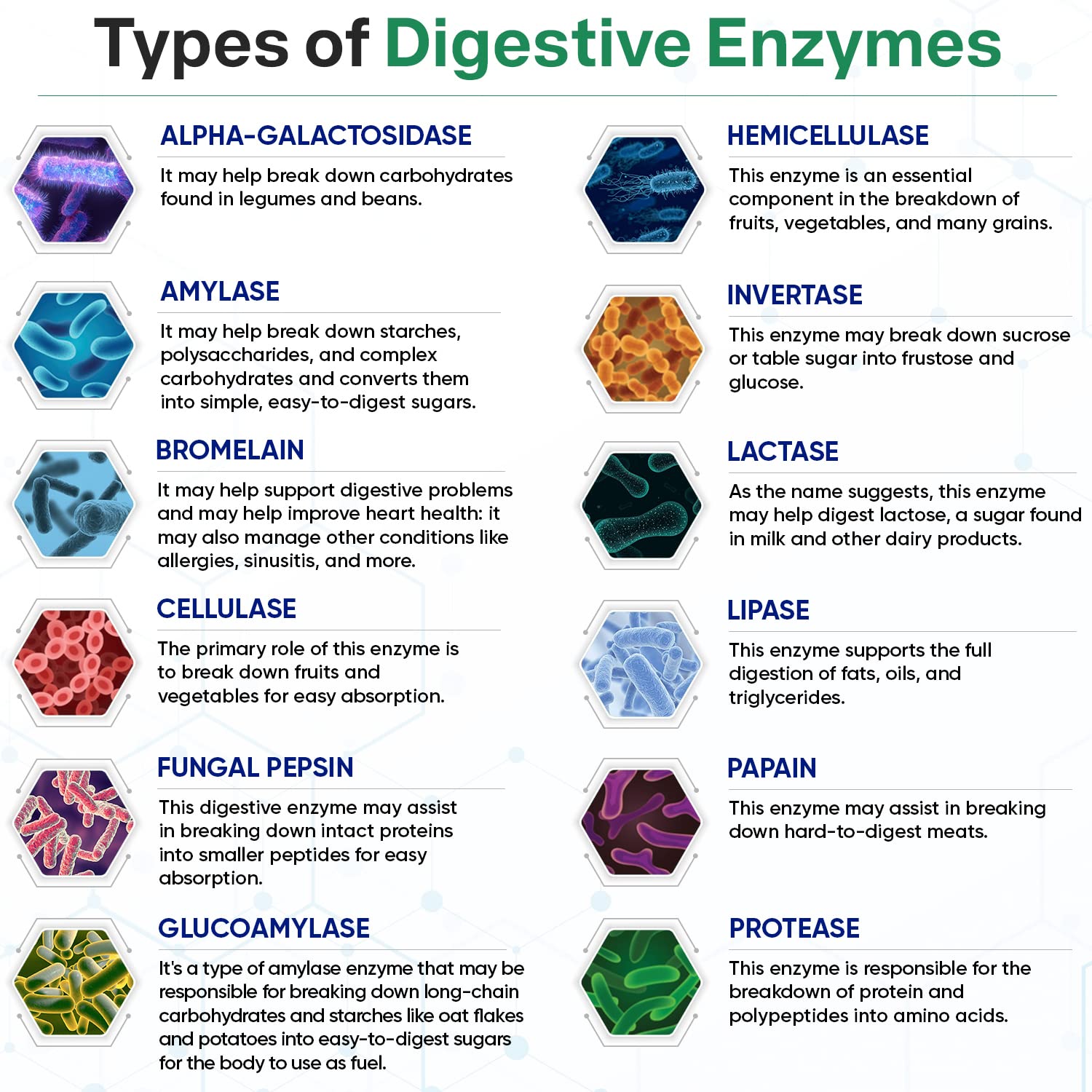 Foto 6 pulgar | Suplemento Wholesome Wellness Digestive Enzymes 1000 Mg 180 Cápsulas - Venta Internacional.