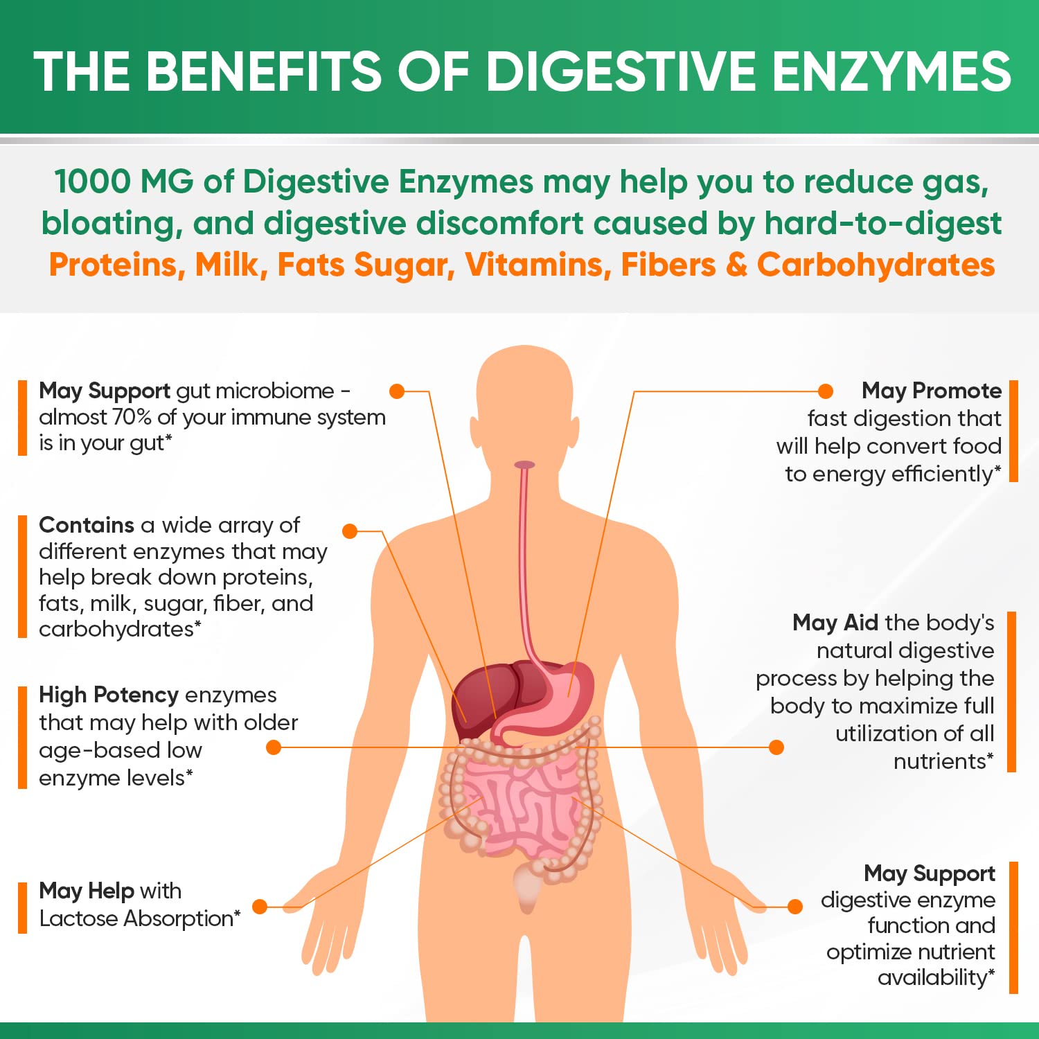 Foto 7 pulgar | Suplemento Wholesome Wellness Digestive Enzymes 1000 Mg 180 Cápsulas - Venta Internacional.