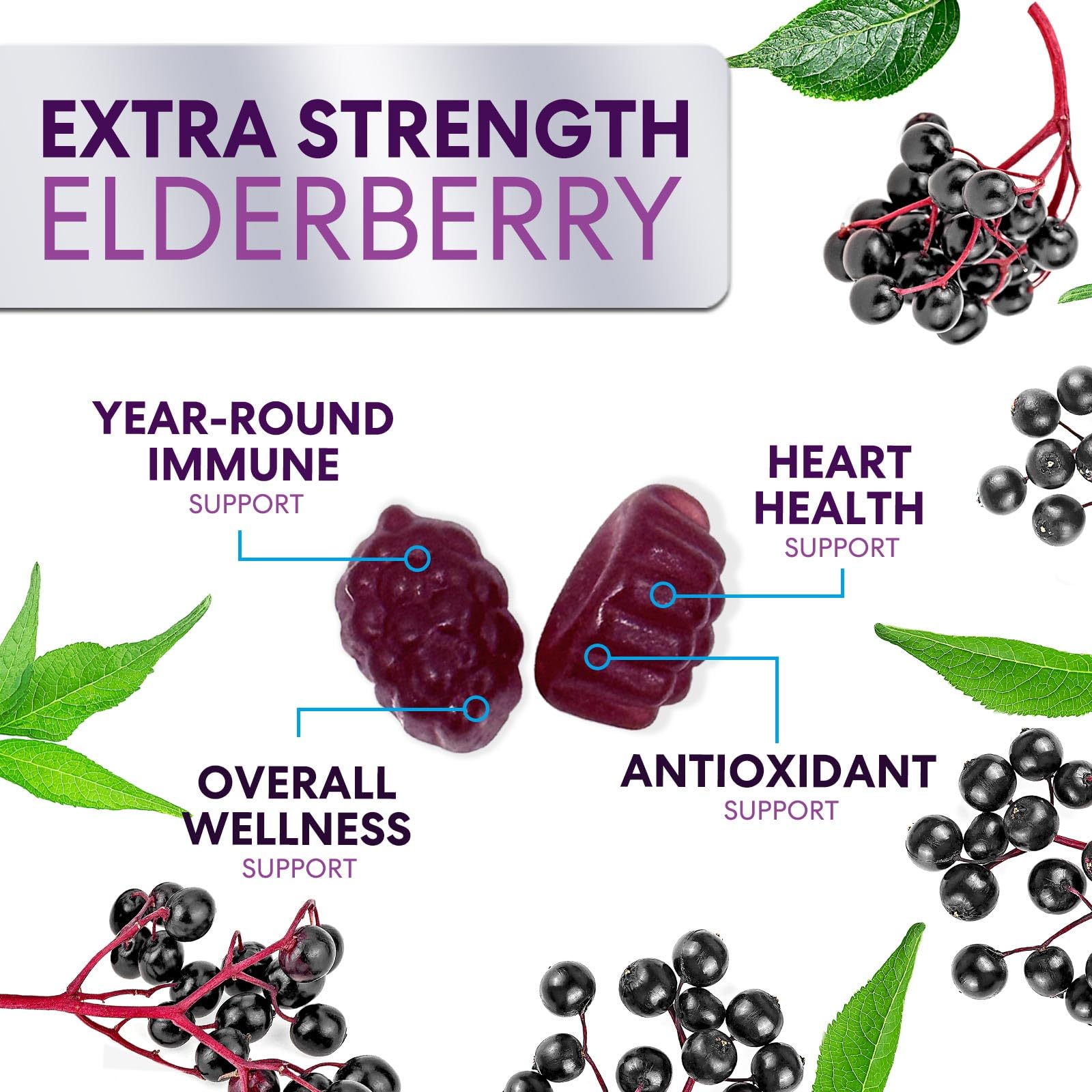 Foto 6 pulgar | Gomitas Nature's Nutrition Sambucus Elderberry Immune 120 Gomitas - Venta Internacional
