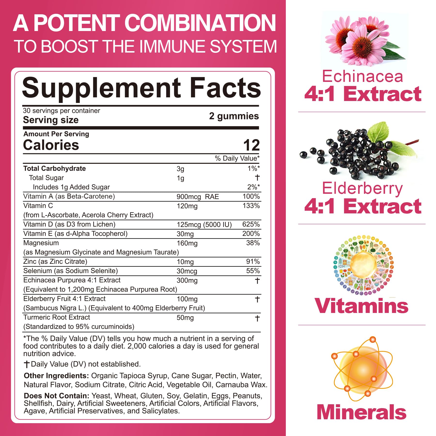 Foto 3 pulgar | Gomitas Multivitamínicas Envycure Daily Immunity Booster  2 Piezas- Venta Internacional