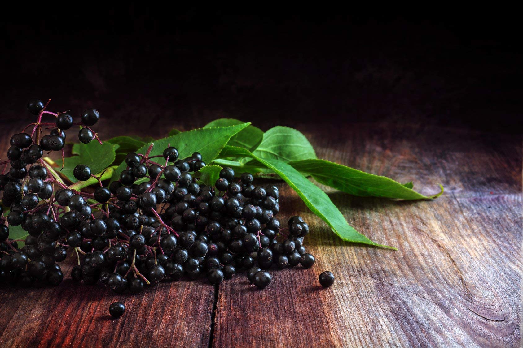 Foto 8 pulgar | Extracto de Hierbas Earthley Elderberry 60 Ml 100% Orgánico Para Niños - Venta Internacional