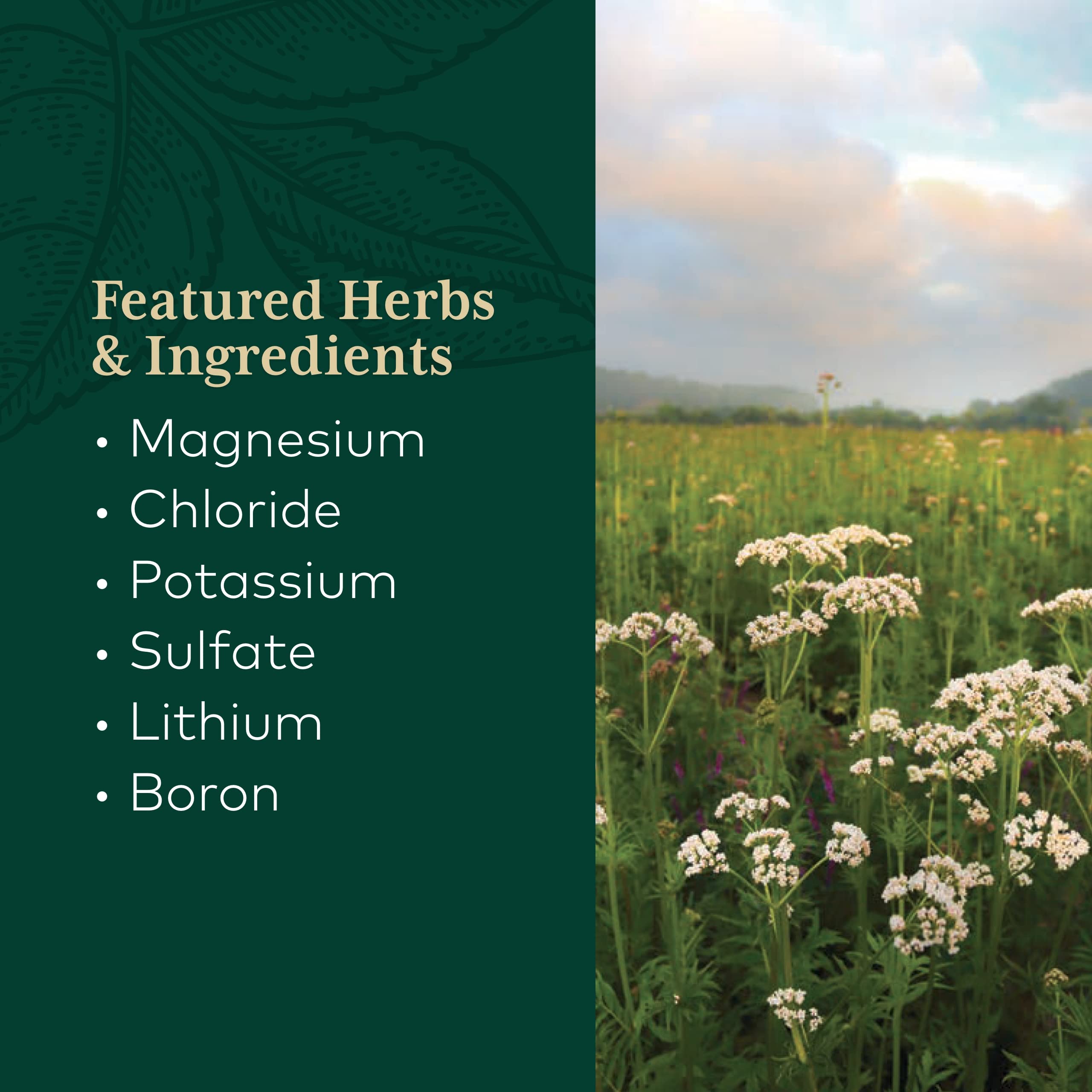 Foto 4 | Suplemento De Magnesio Líquido Gaia Herbs Pro De 120 Ml Con Oligoelementos - Venta Internacional.