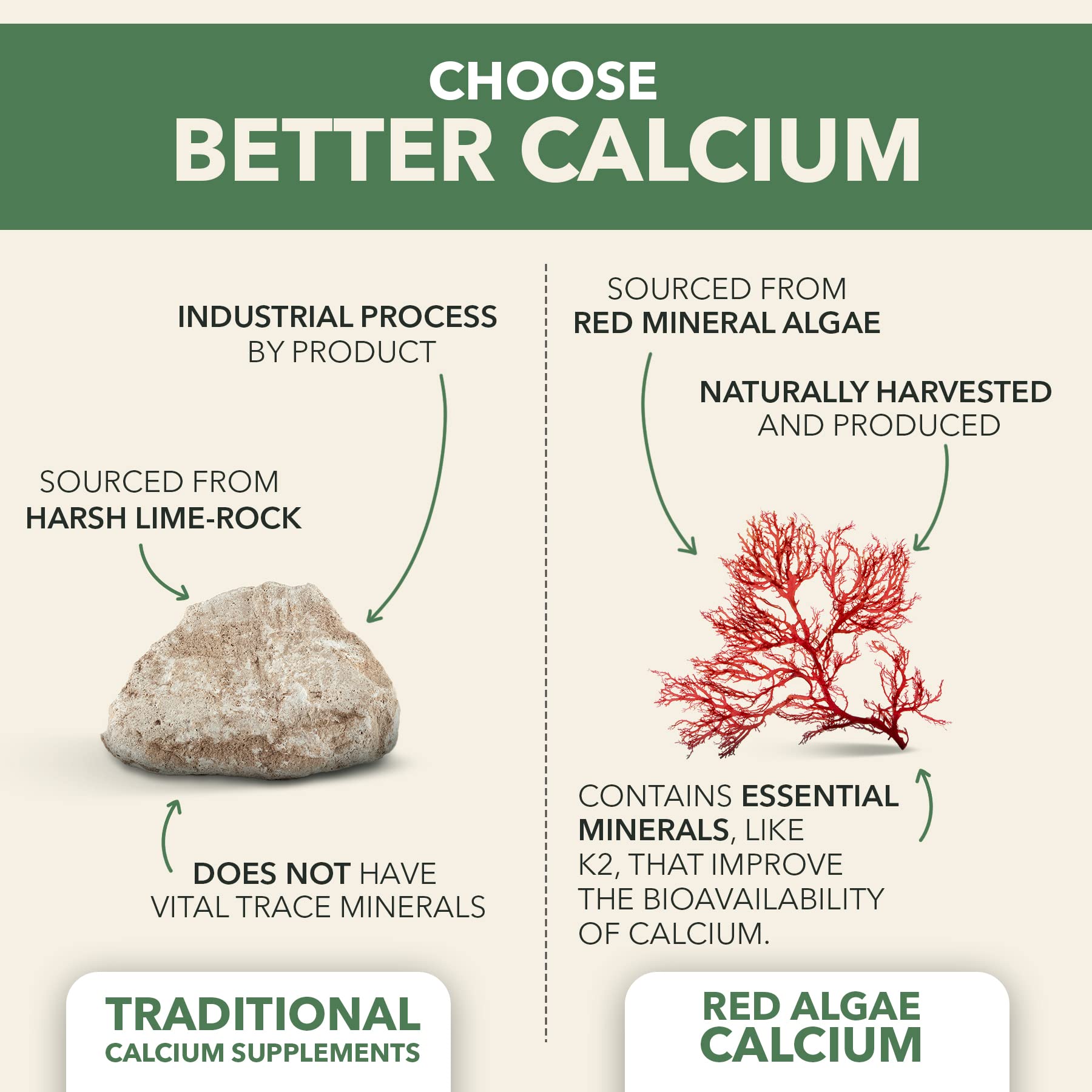 Foto 2 | Suplemento Plantfusion Vegan Calcium 1000 Mg Con Magnesio - Venta Internacional.
