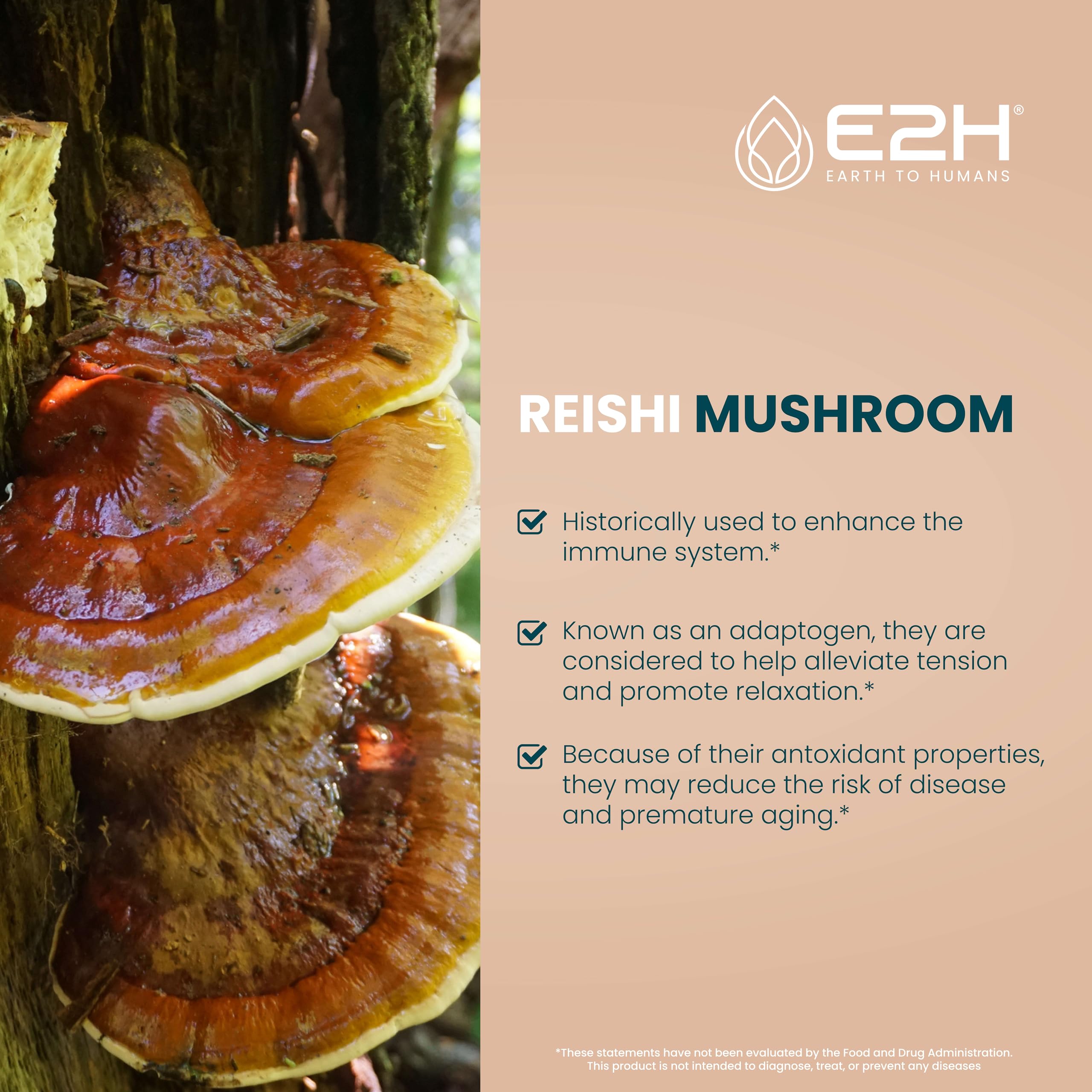 Foto 4 pulgar | Suplemento E2h De Extracto De Hongo Reishi De 60 Ml Que Promueve La Longevidad - Venta Internacional.
