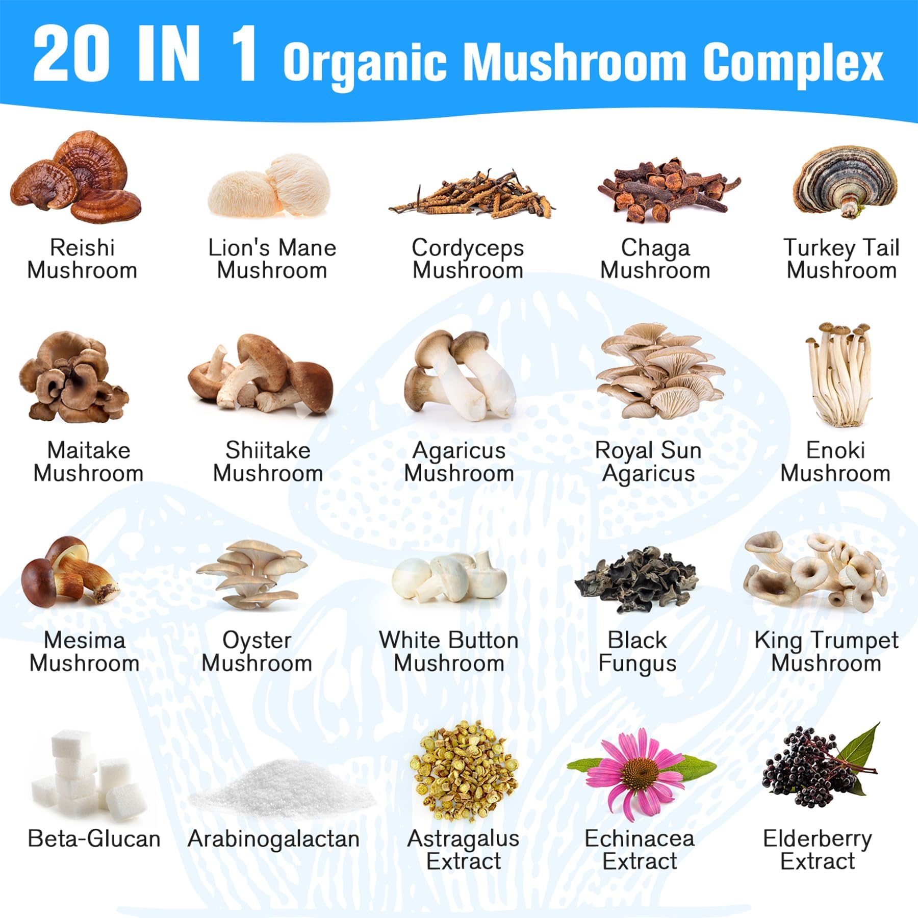 Foto 6 pulgar | Suplemento Dmeisy Mushroom 2600 Mg Con Melena De León Y Cordyceps - Venta Internacional.
