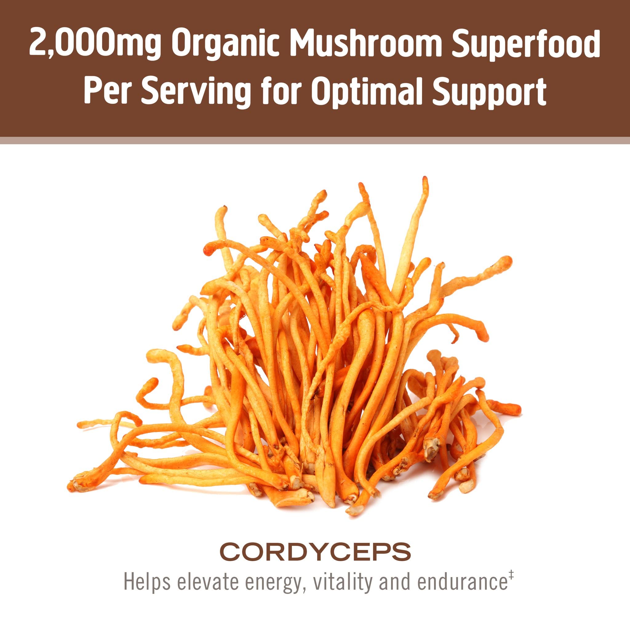 Foto 5 pulgar | Suplemento Superalimenticio Om Mushroom Cordyceps 200 G/100 Porciones - Venta Internacional.