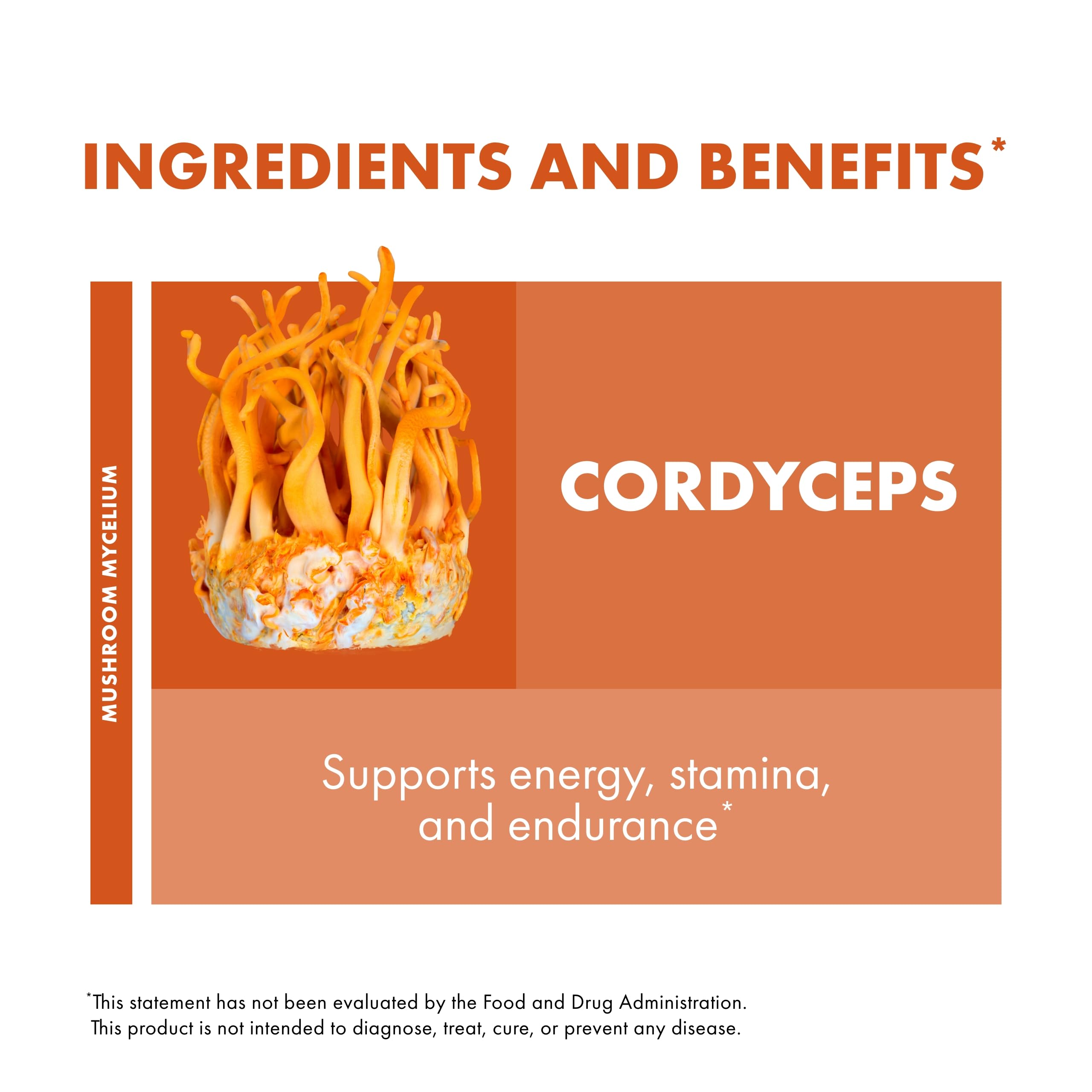 Foto 5 pulgar | Suplemento De Extracto De Cordyceps Host Defense 30 Ml - Venta Internacional.
