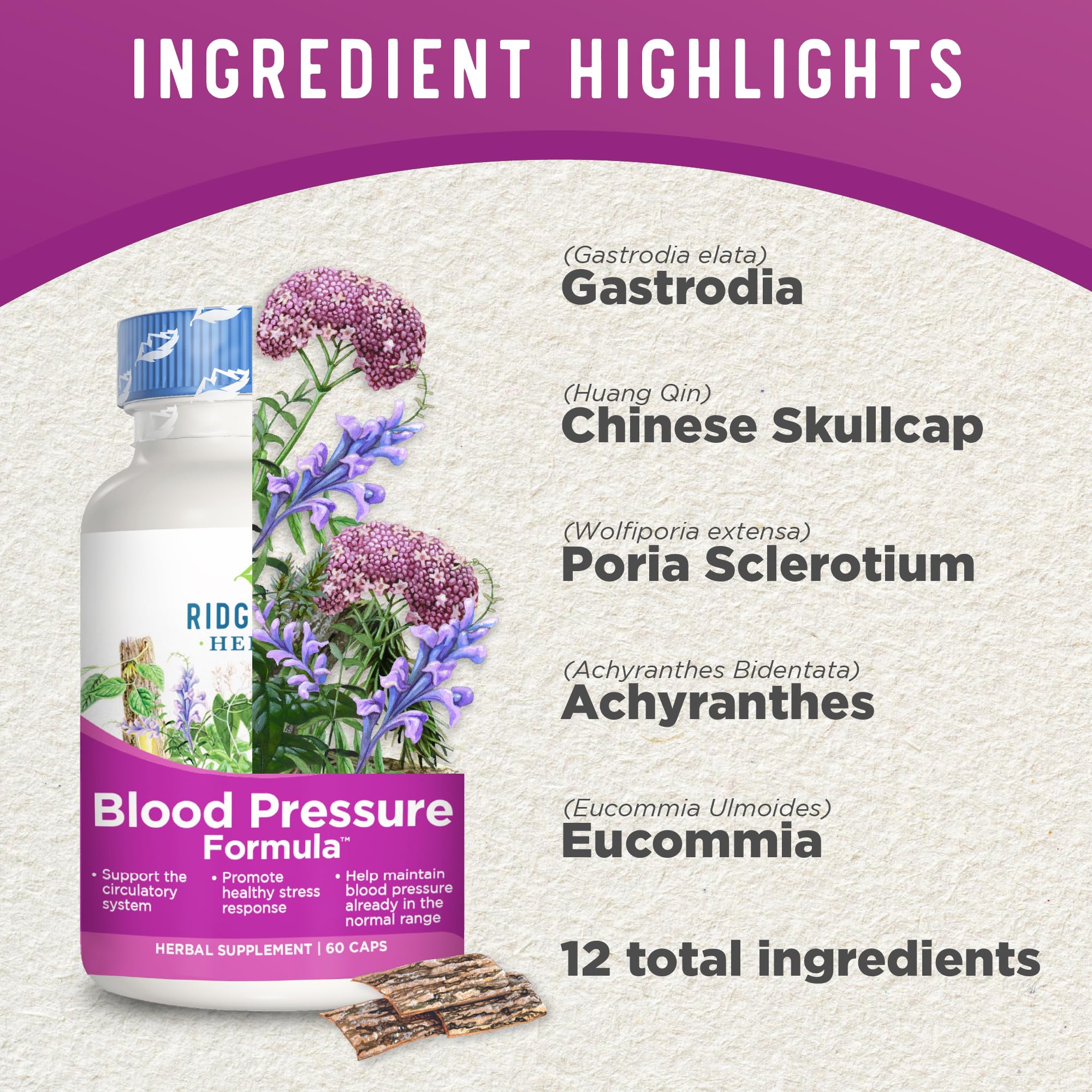 Foto 5 pulgar | Suplemento Ridgecrest Herbals Blood Pressure 60 Comprimidos - Venta Internacional.
