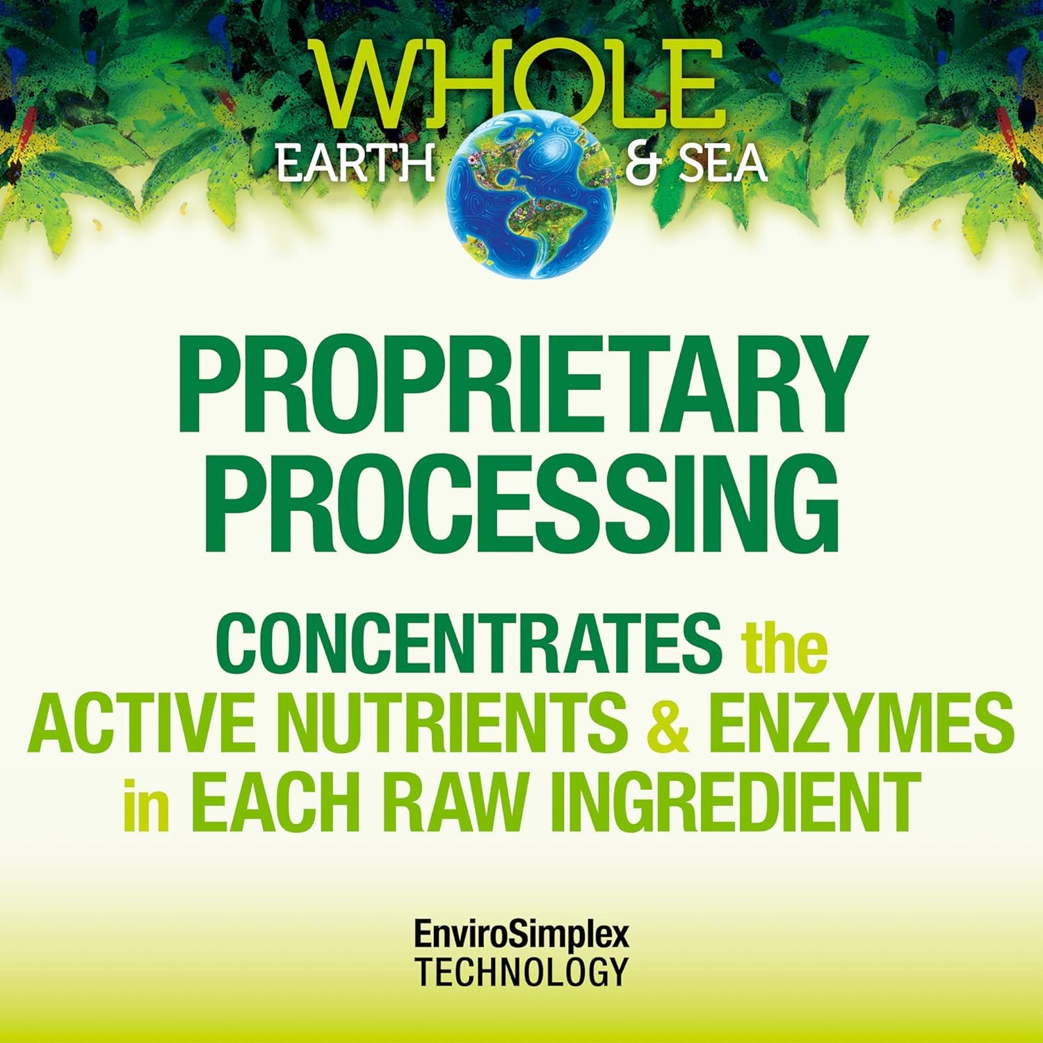 Foto 6 | Complemente La Proteína Fermentada De Natural Factors Whole Earth & Sea - Venta Internacional.