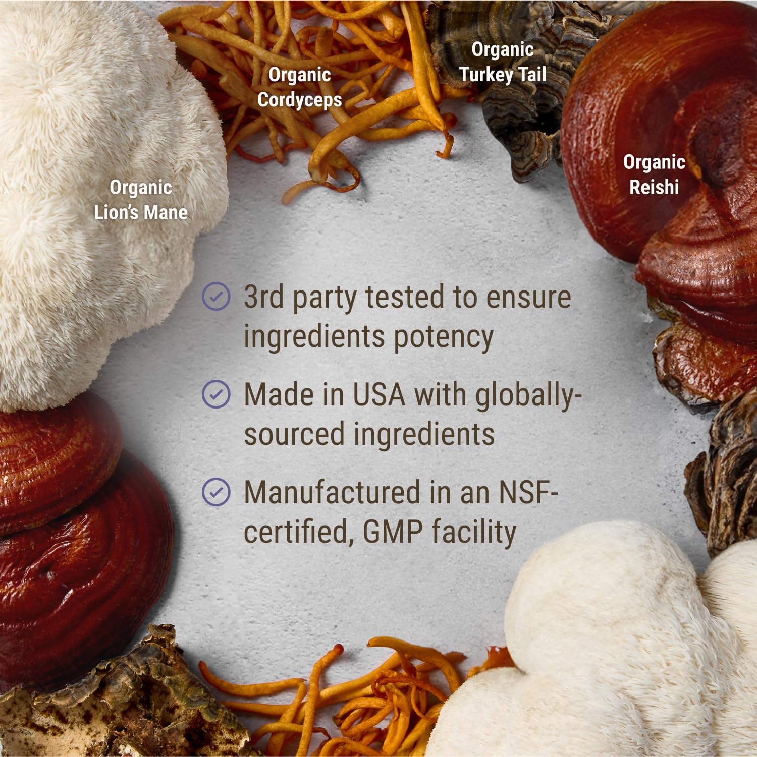 Foto 6 pulgar | Supplement Live Conscious Lions Mane Mushroom Brain Support - Venta Internacional.