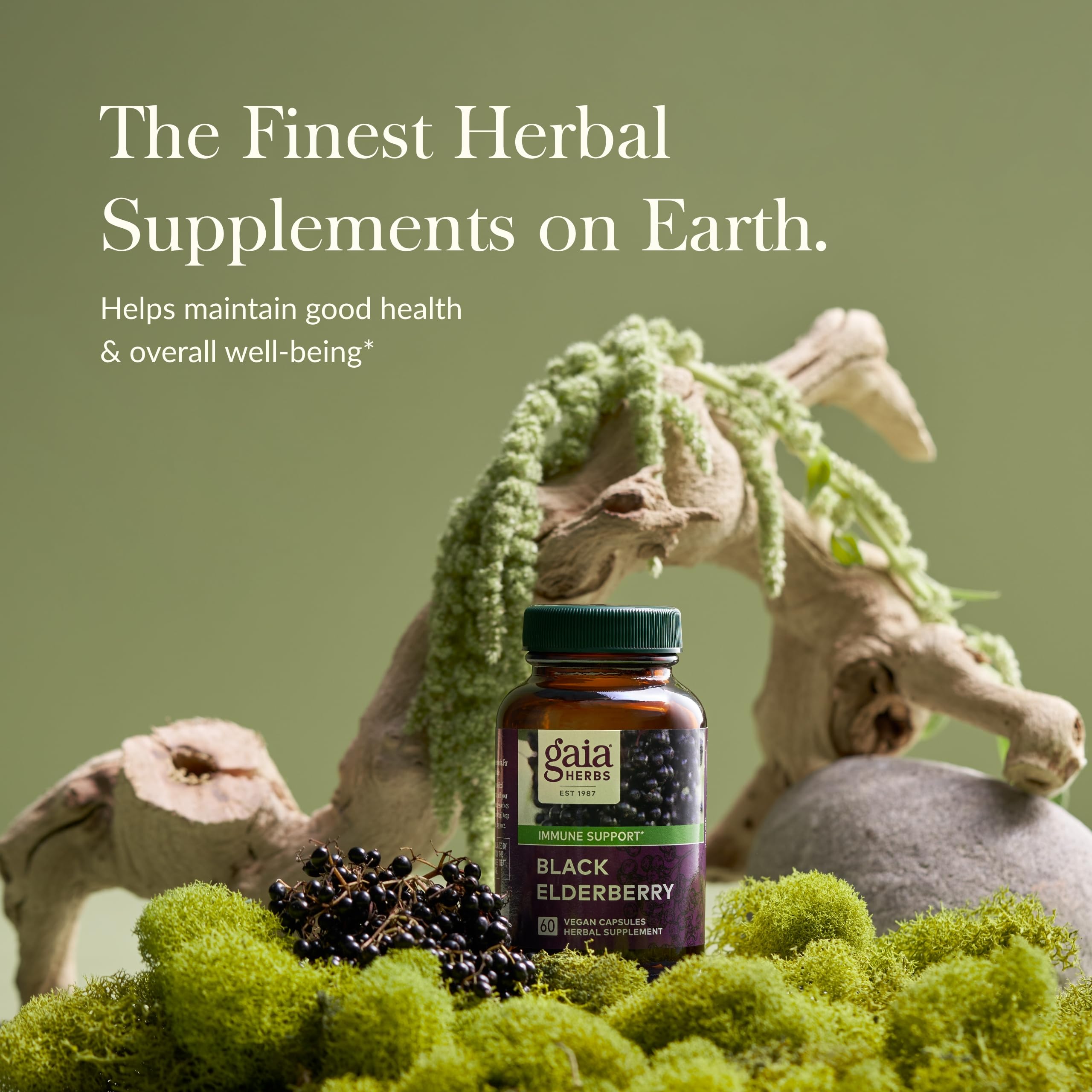 Foto 4 pulgar | Suplemento Gaia Herbs Black Elderberry 60 Cápsulas Veganas - Venta Internacional.