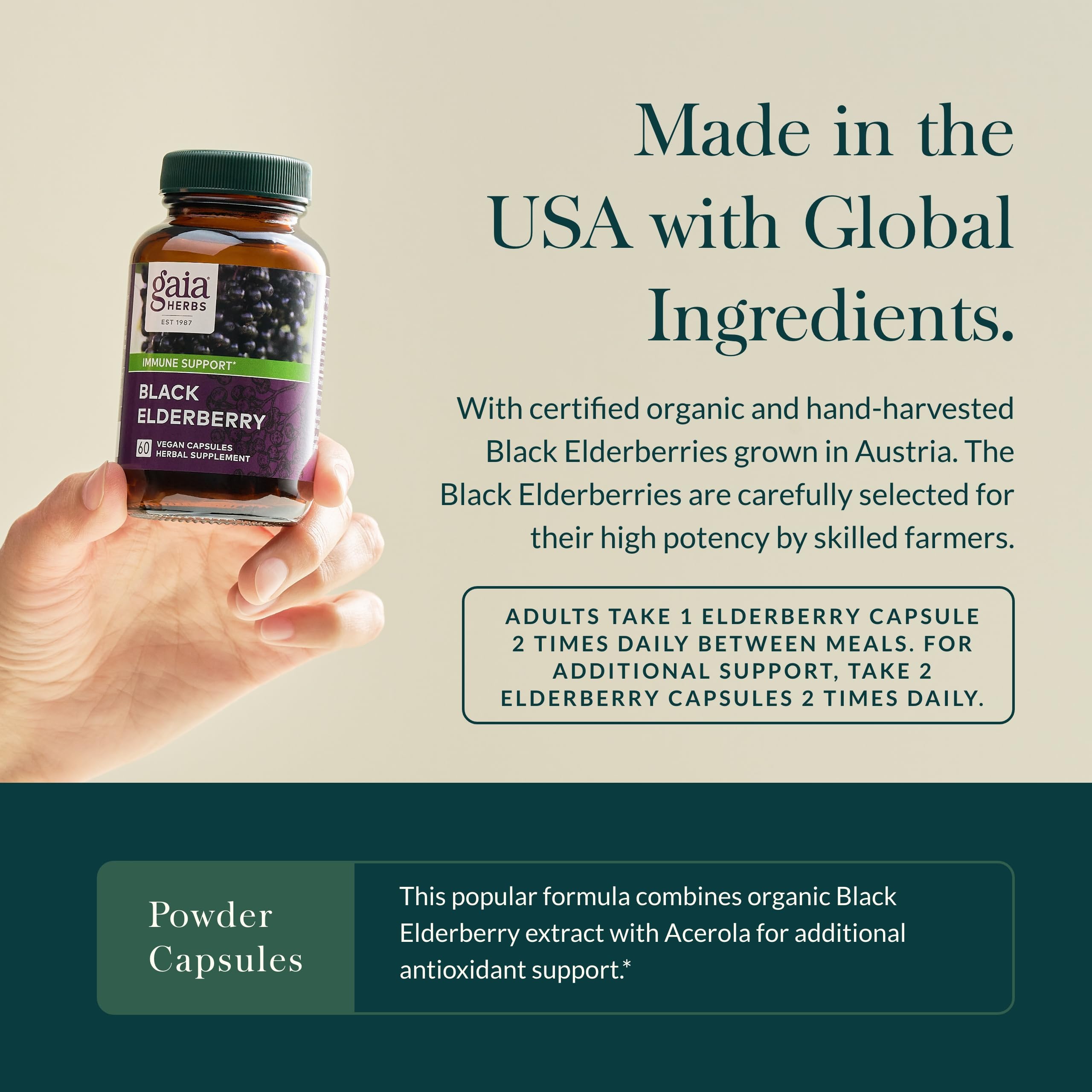 Foto 5 pulgar | Suplemento Gaia Herbs Black Elderberry 60 Cápsulas Veganas - Venta Internacional.
