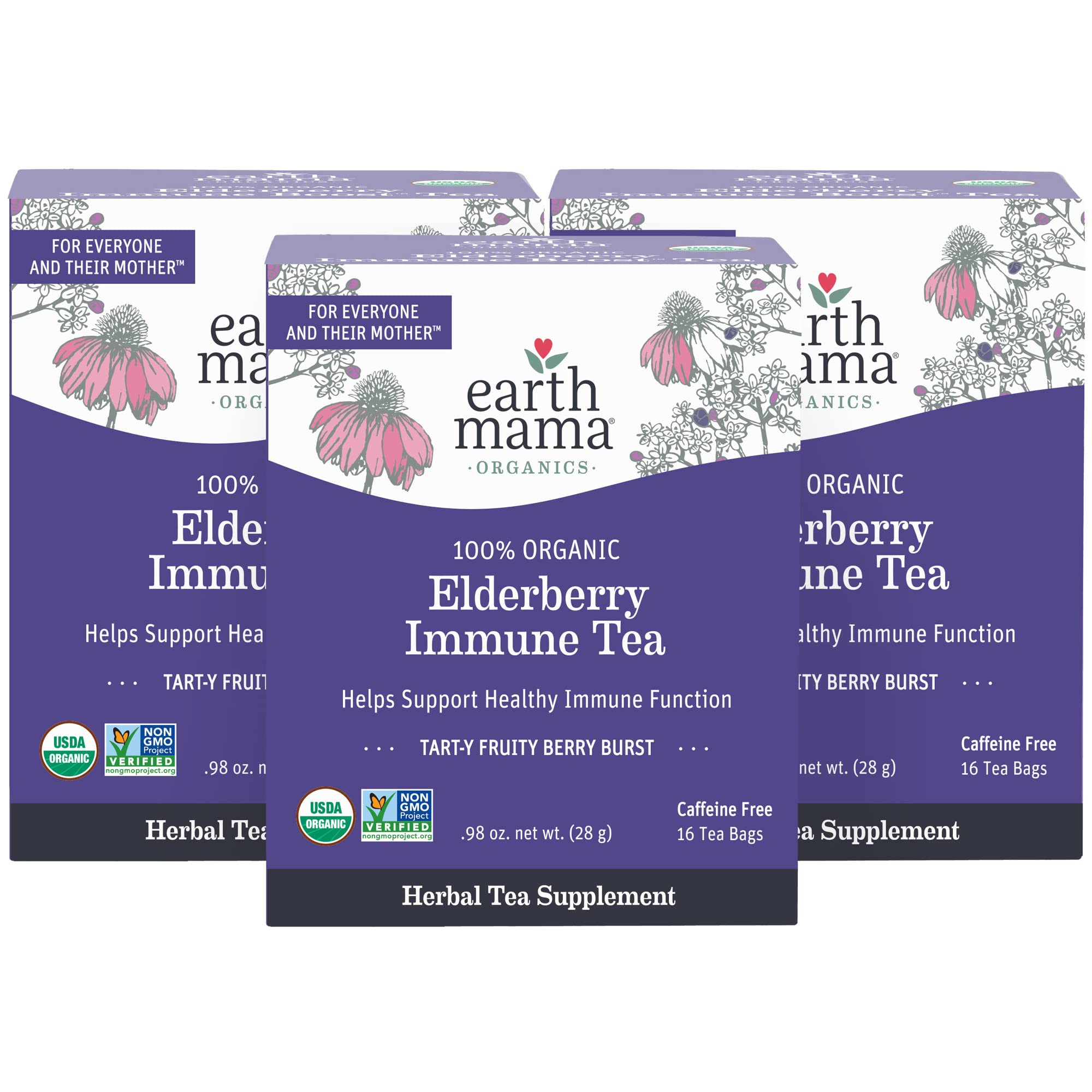 Foto 2 pulgar | Suplemento Earth Mama Elderberry Immune Tea de 3 Piezas-Venta Internacional