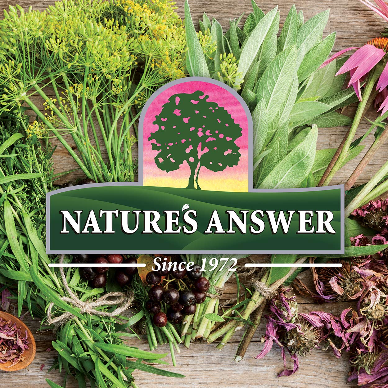Foto 8 pulgar | Suplemento Nature's Answer Sambucus Immune Support 240 Ml - Venta Internacional