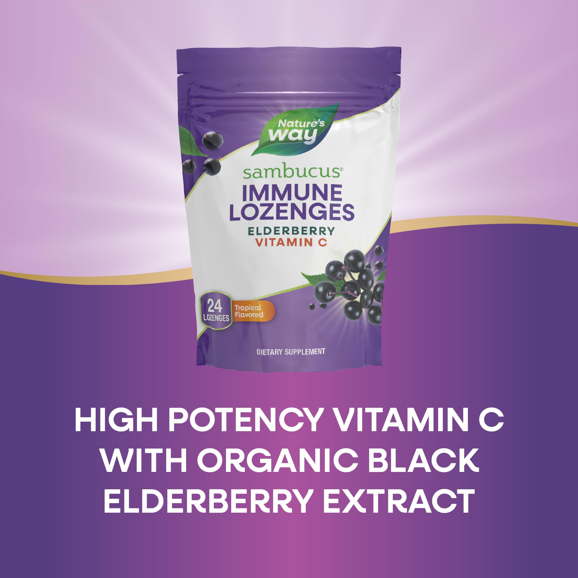 Foto 5 | Pastillas De Saúco Nature's Way Sambucus, 24 Unidades - Venta Internacional.