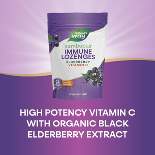 Foto 5 | Pastillas De Saúco Nature's Way Sambucus, 24 Unidades - Venta Internacional.